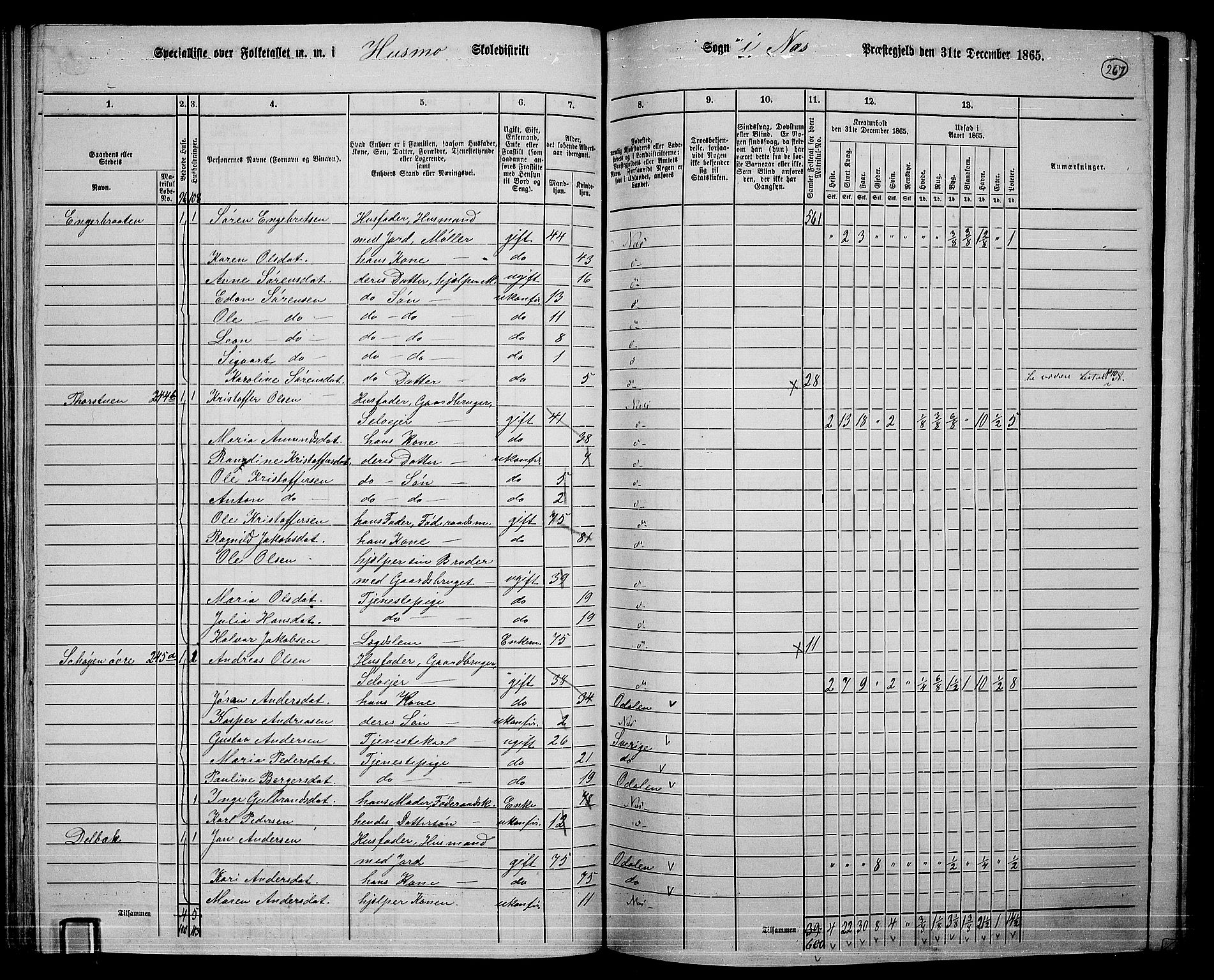 RA, 1865 census for Nes, 1865, p. 250