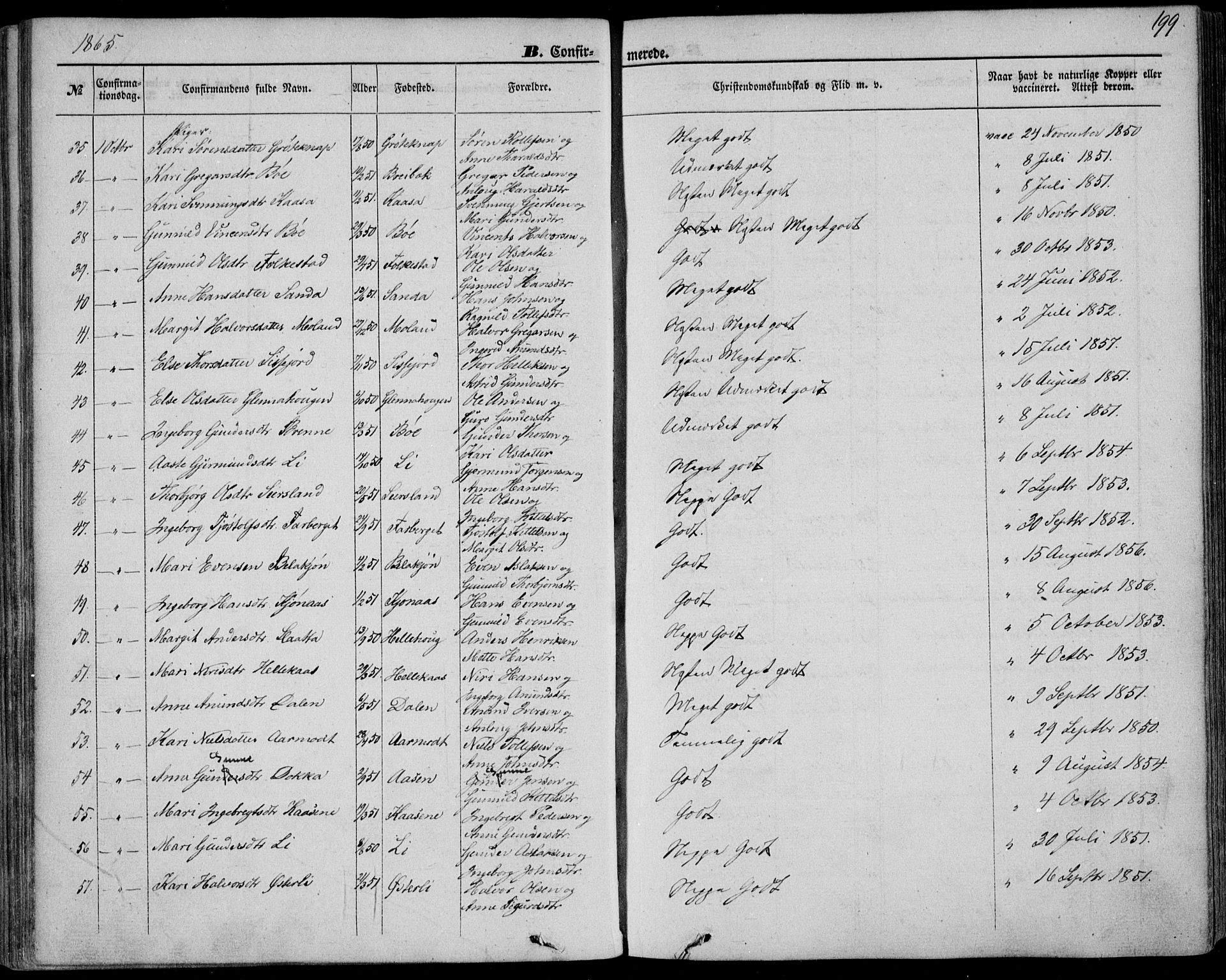 Bø kirkebøker, AV/SAKO-A-257/F/Fa/L0009: Parish register (official) no. 9, 1862-1879, p. 199