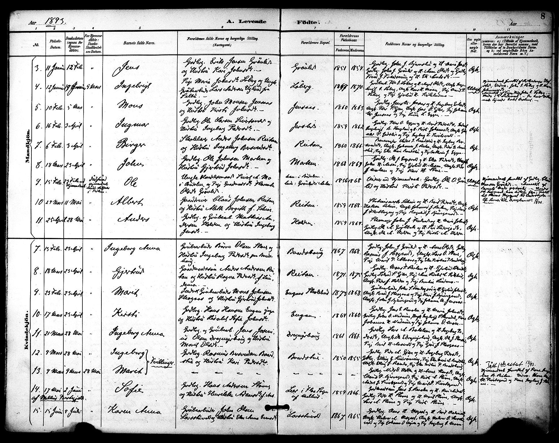 Ministerialprotokoller, klokkerbøker og fødselsregistre - Sør-Trøndelag, AV/SAT-A-1456/686/L0984: Parish register (official) no. 686A02, 1891-1906, p. 8