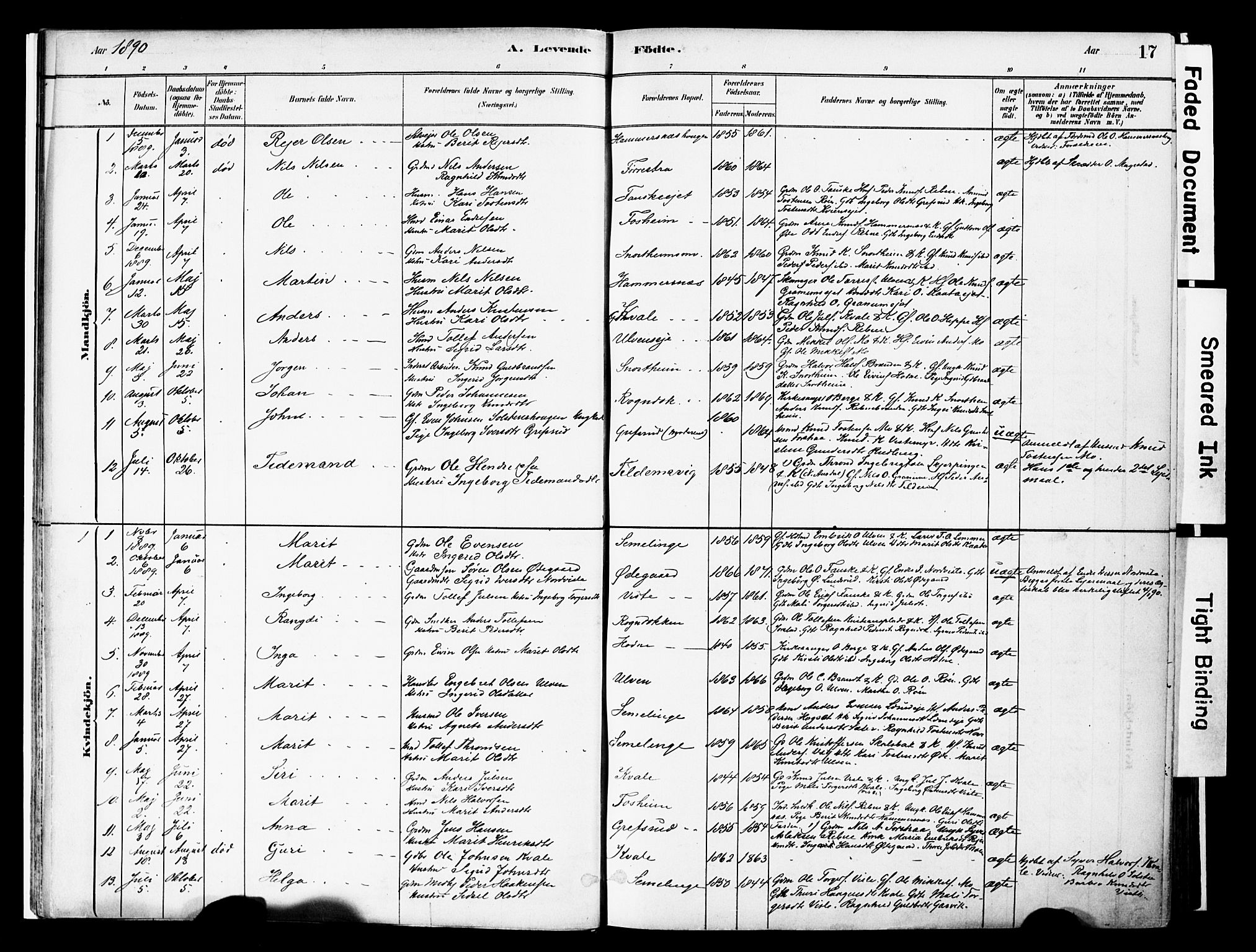 Vestre Slidre prestekontor, SAH/PREST-136/H/Ha/Haa/L0006: Parish register (official) no. 6, 1881-1912, p. 17