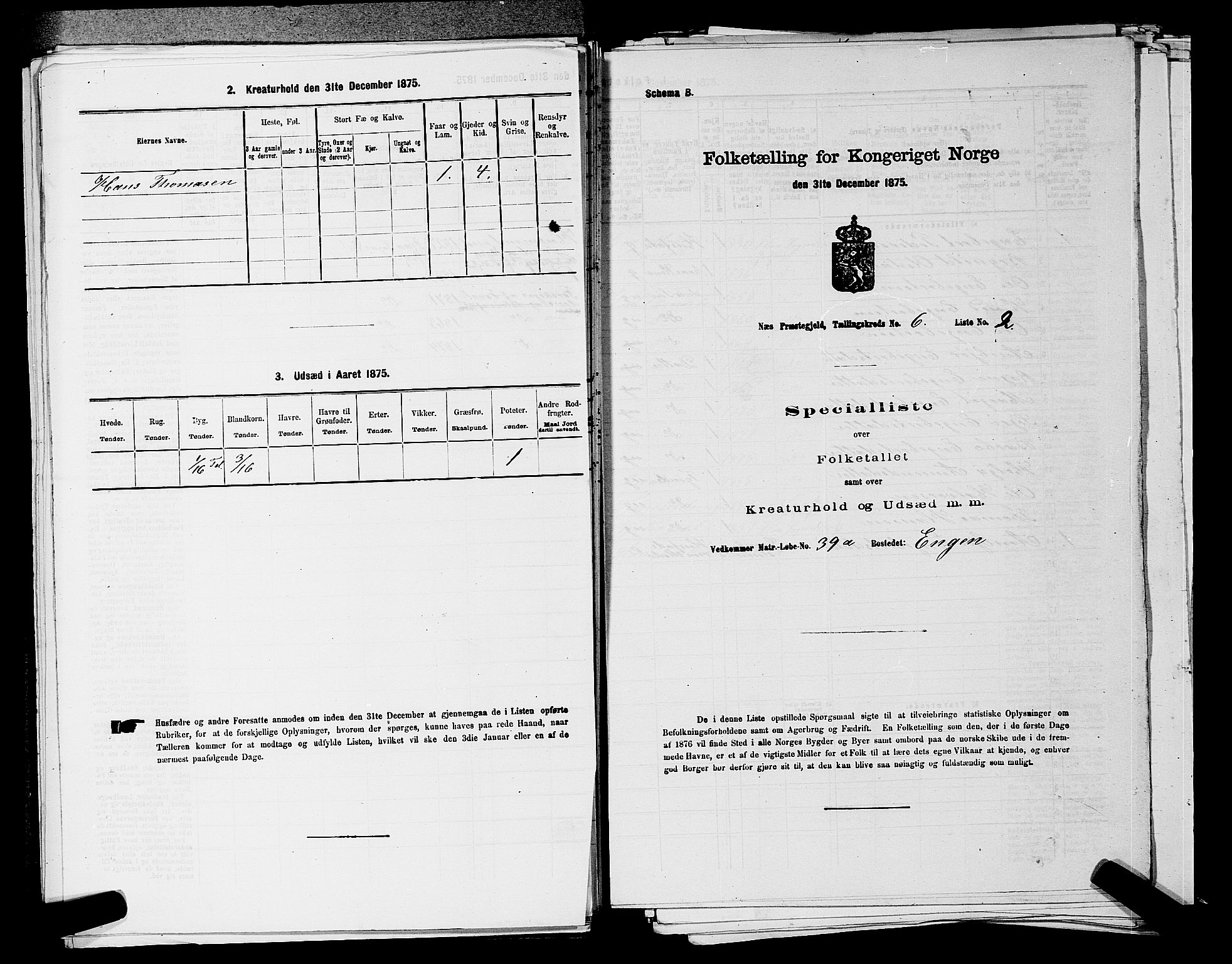 SAKO, 1875 census for 0616P Nes, 1875, p. 1165