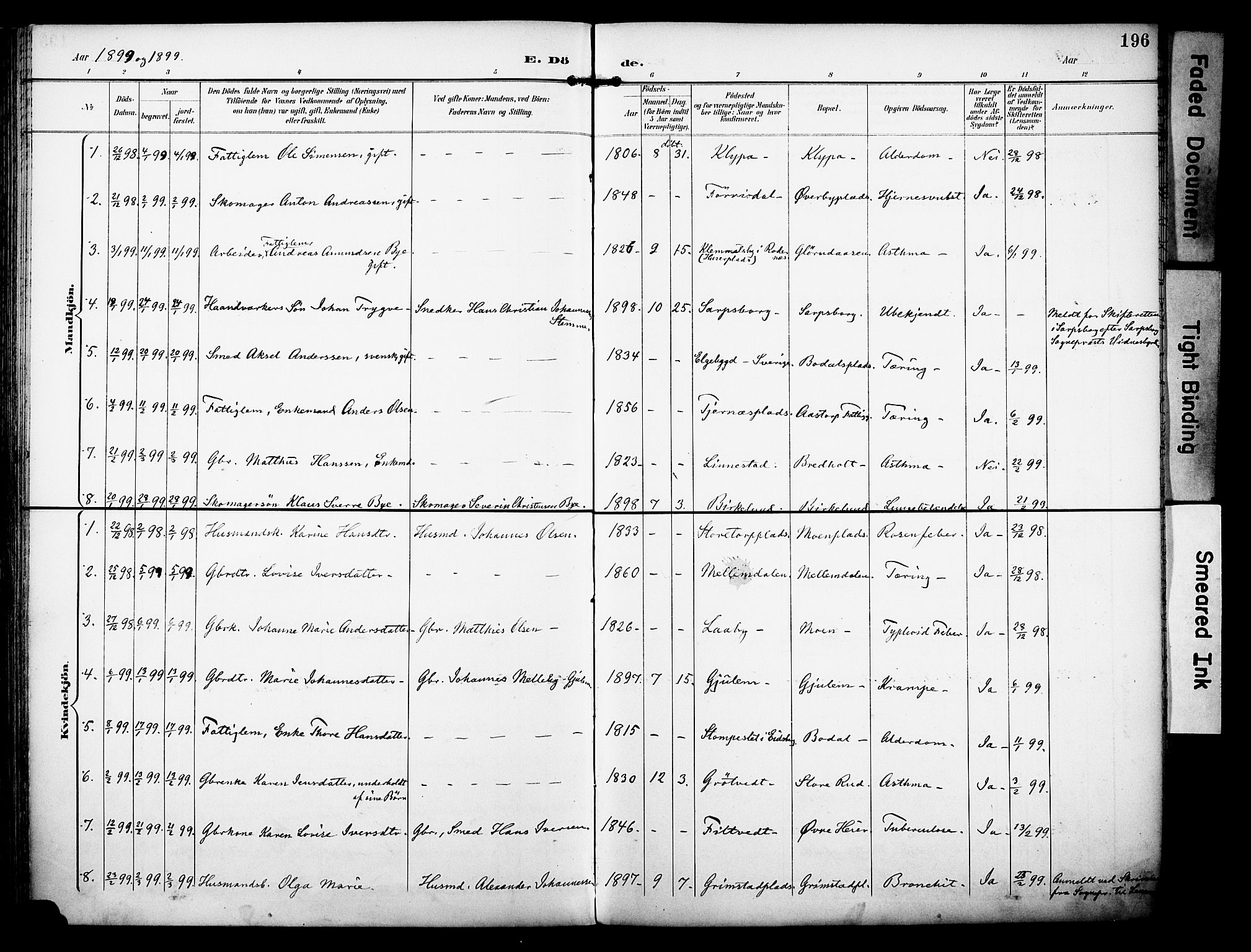 Rakkestad prestekontor Kirkebøker, AV/SAO-A-2008/F/Fa/L0013: Parish register (official) no. I 13, 1894-1908, p. 196