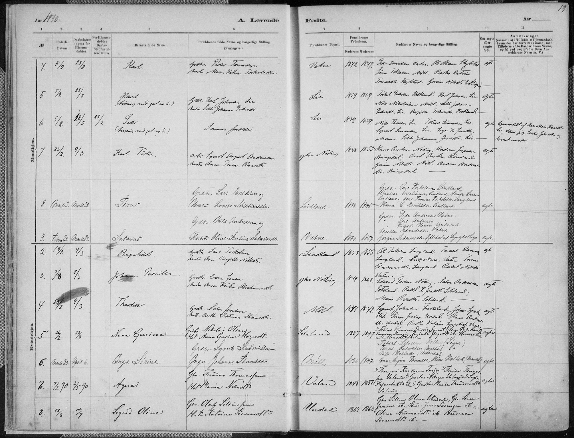 Holum sokneprestkontor, SAK/1111-0022/F/Fa/Faa/L0007: Parish register (official) no. A 7, 1884-1907, p. 19