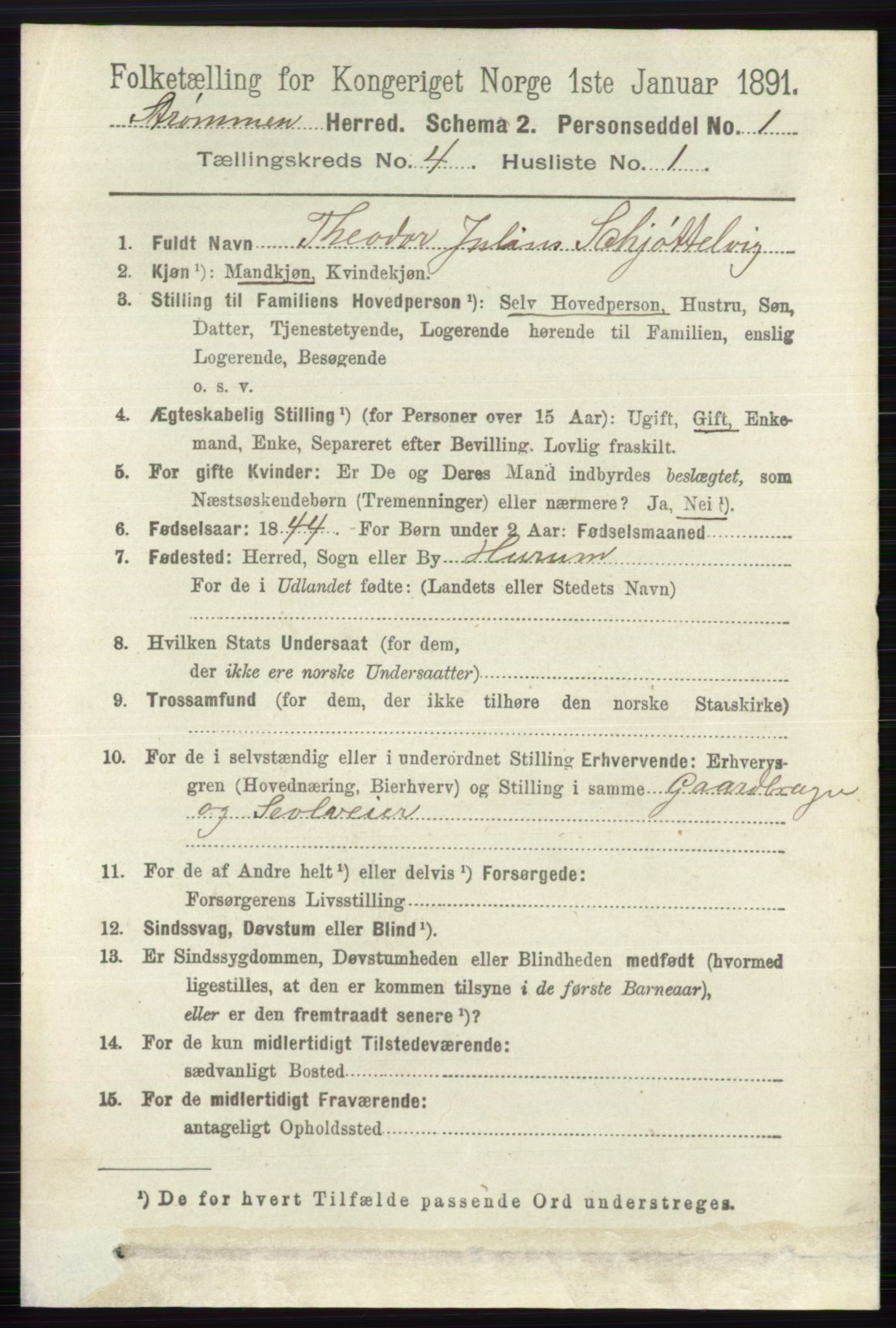 RA, 1891 census for 0711 Strømm, 1891, p. 1581