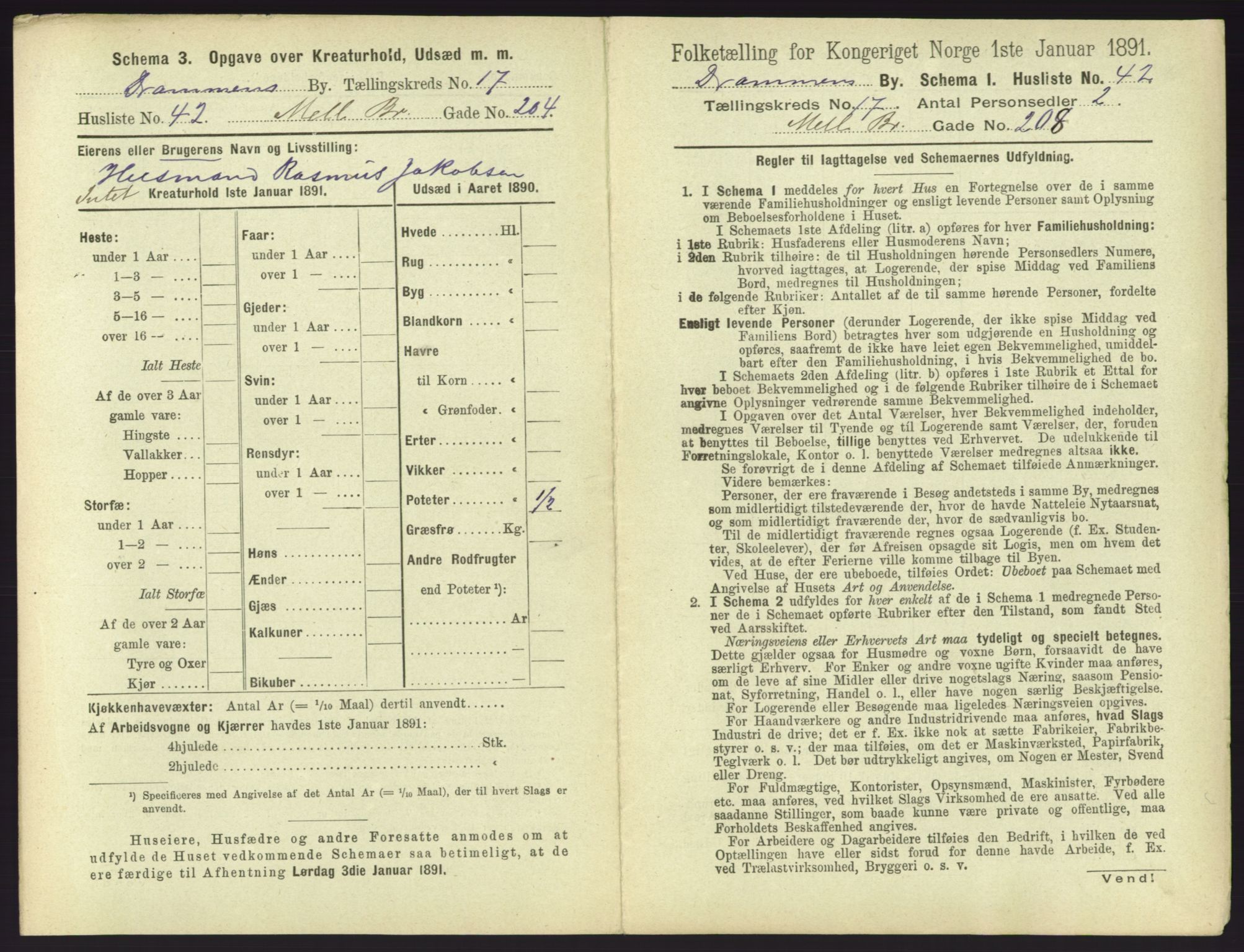 RA, 1891 census for 0602 Drammen, 1891, p. 1483