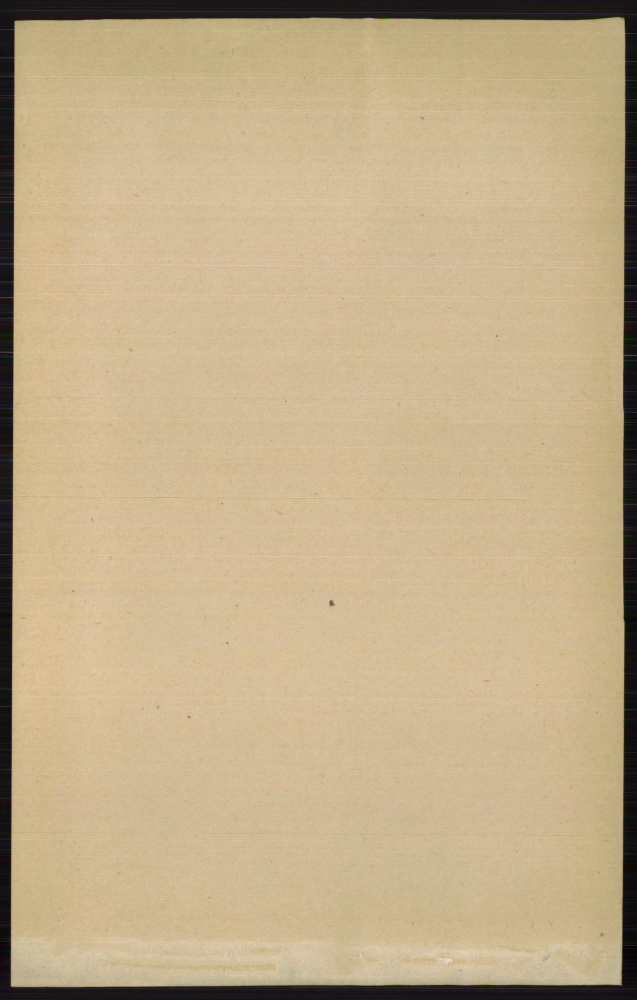 RA, 1891 census for 0543 Vestre Slidre, 1891, p. 2571
