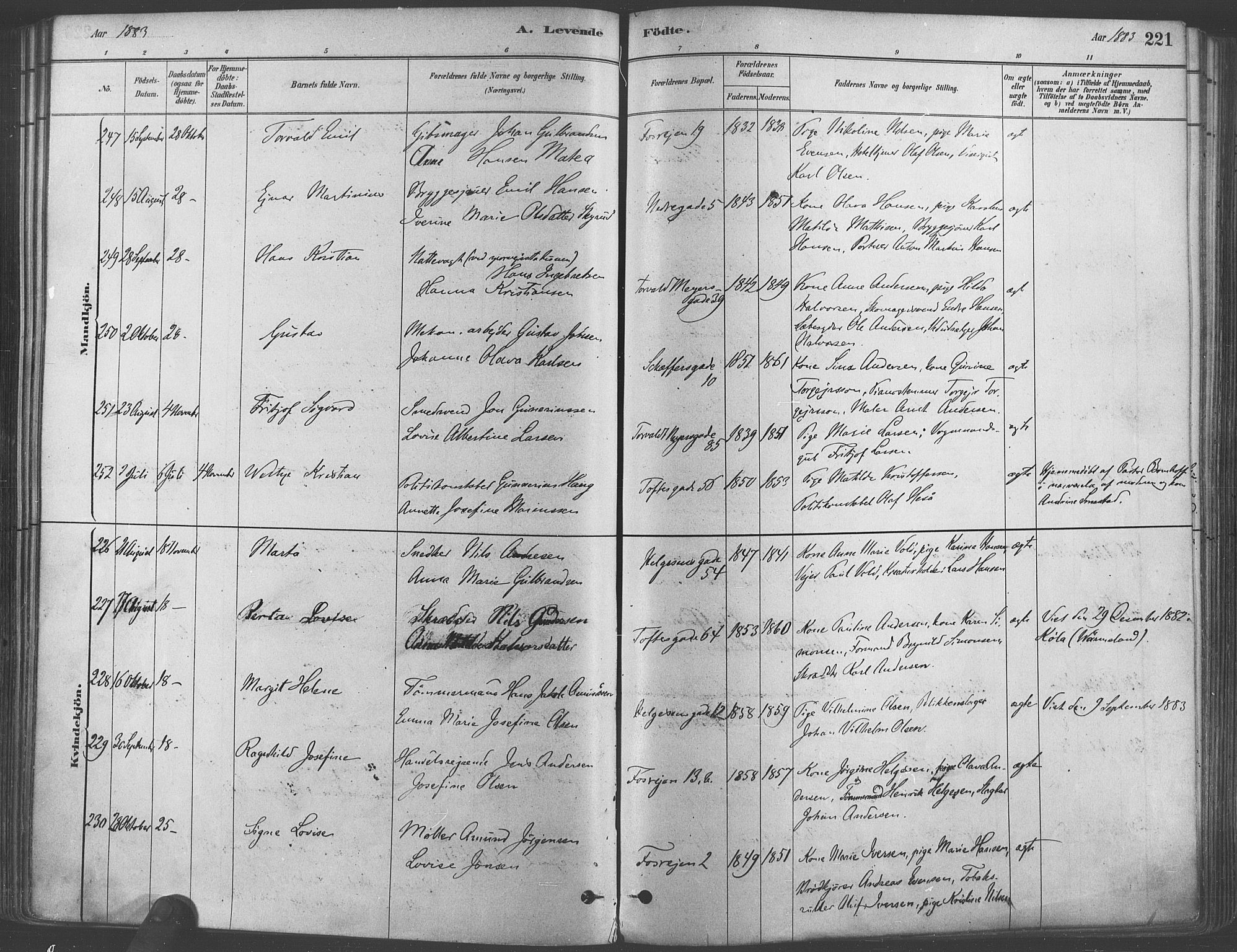 Paulus prestekontor Kirkebøker, AV/SAO-A-10871/F/Fa/L0003: Parish register (official) no. 3, 1879-1887, p. 221