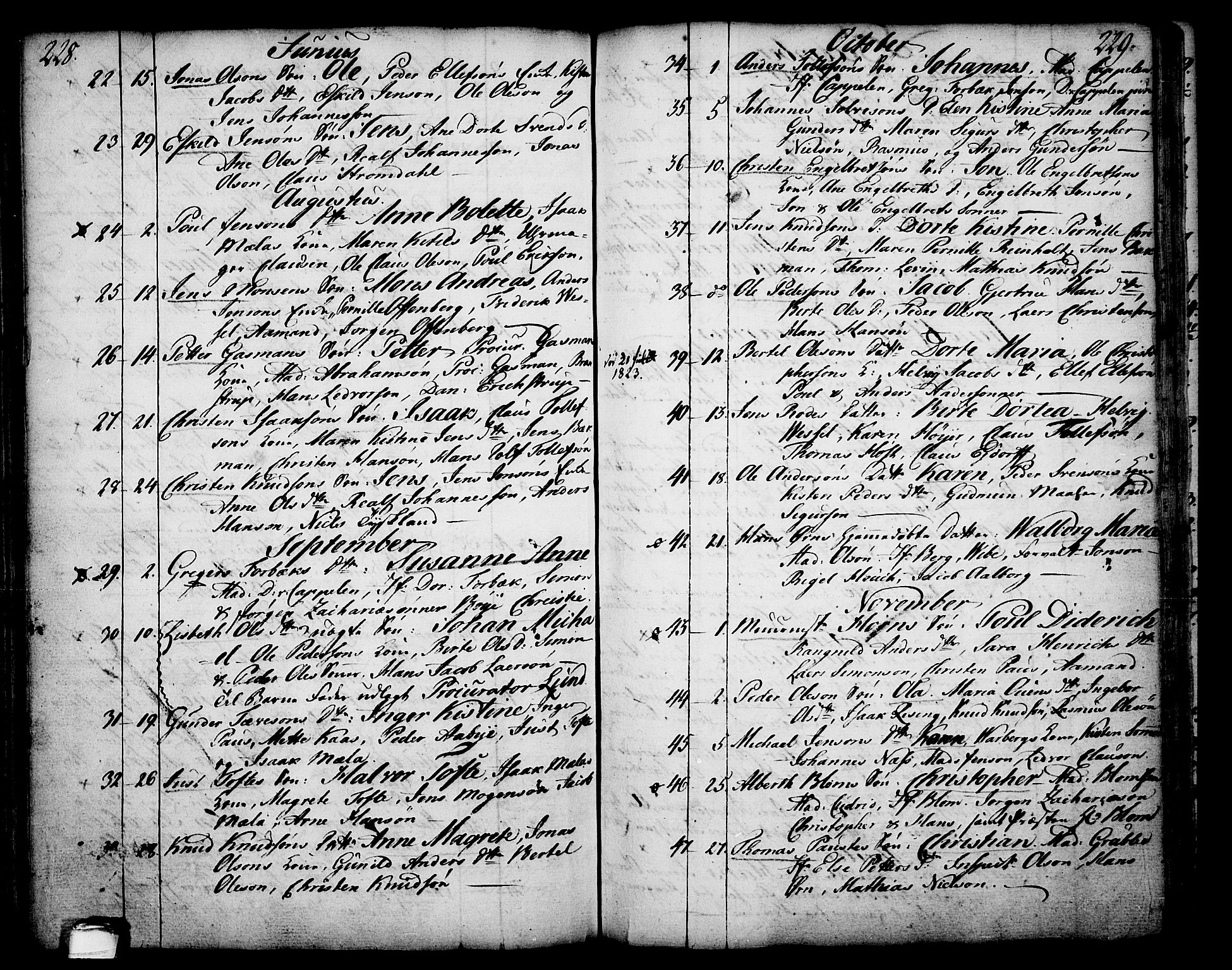 Skien kirkebøker, AV/SAKO-A-302/F/Fa/L0003: Parish register (official) no. 3, 1755-1791, p. 228-229