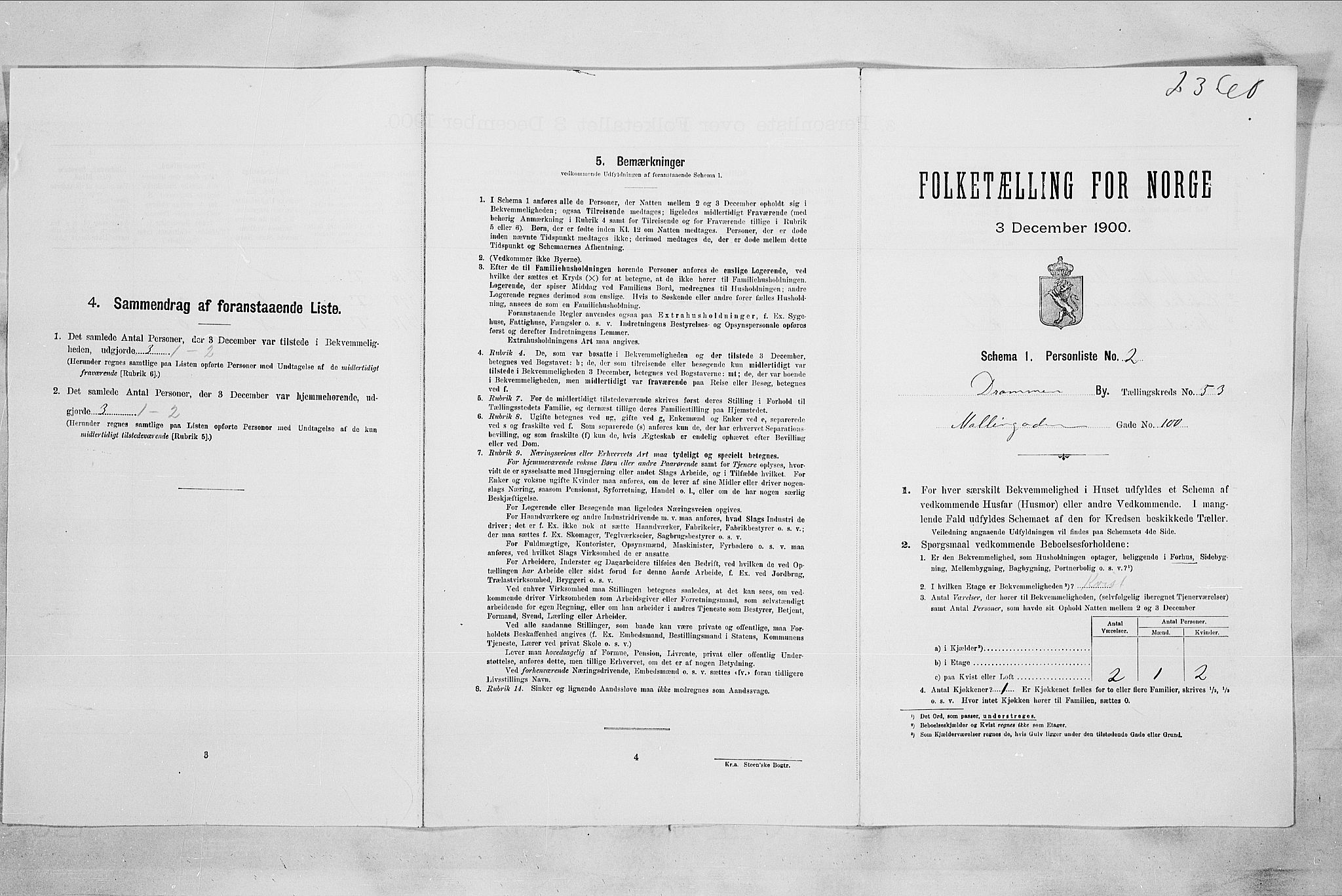 RA, 1900 census for Drammen, 1900, p. 9174