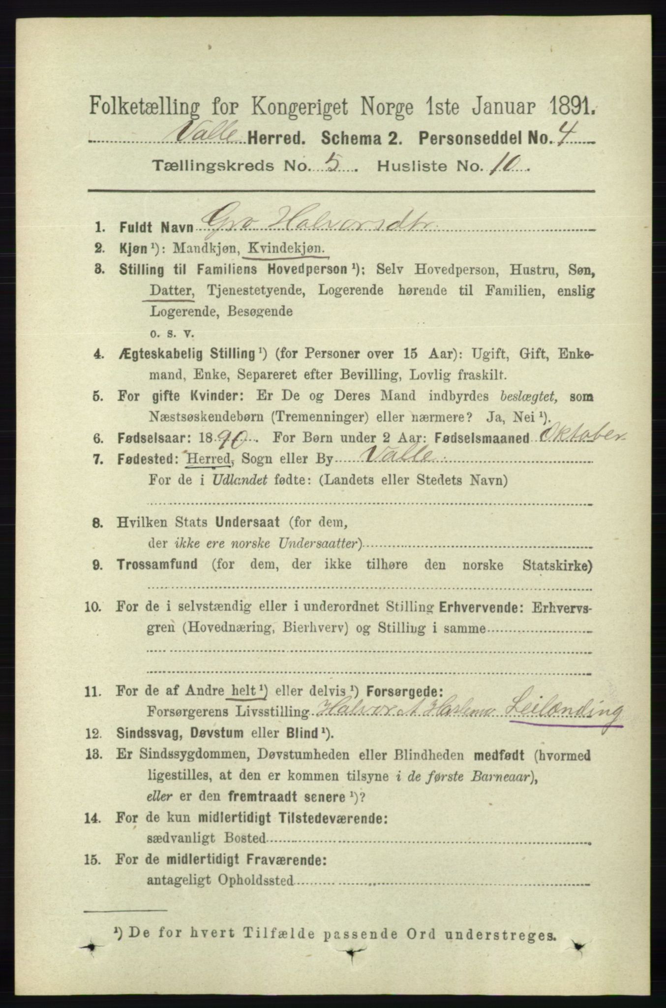 RA, 1891 census for 0940 Valle, 1891, p. 1384