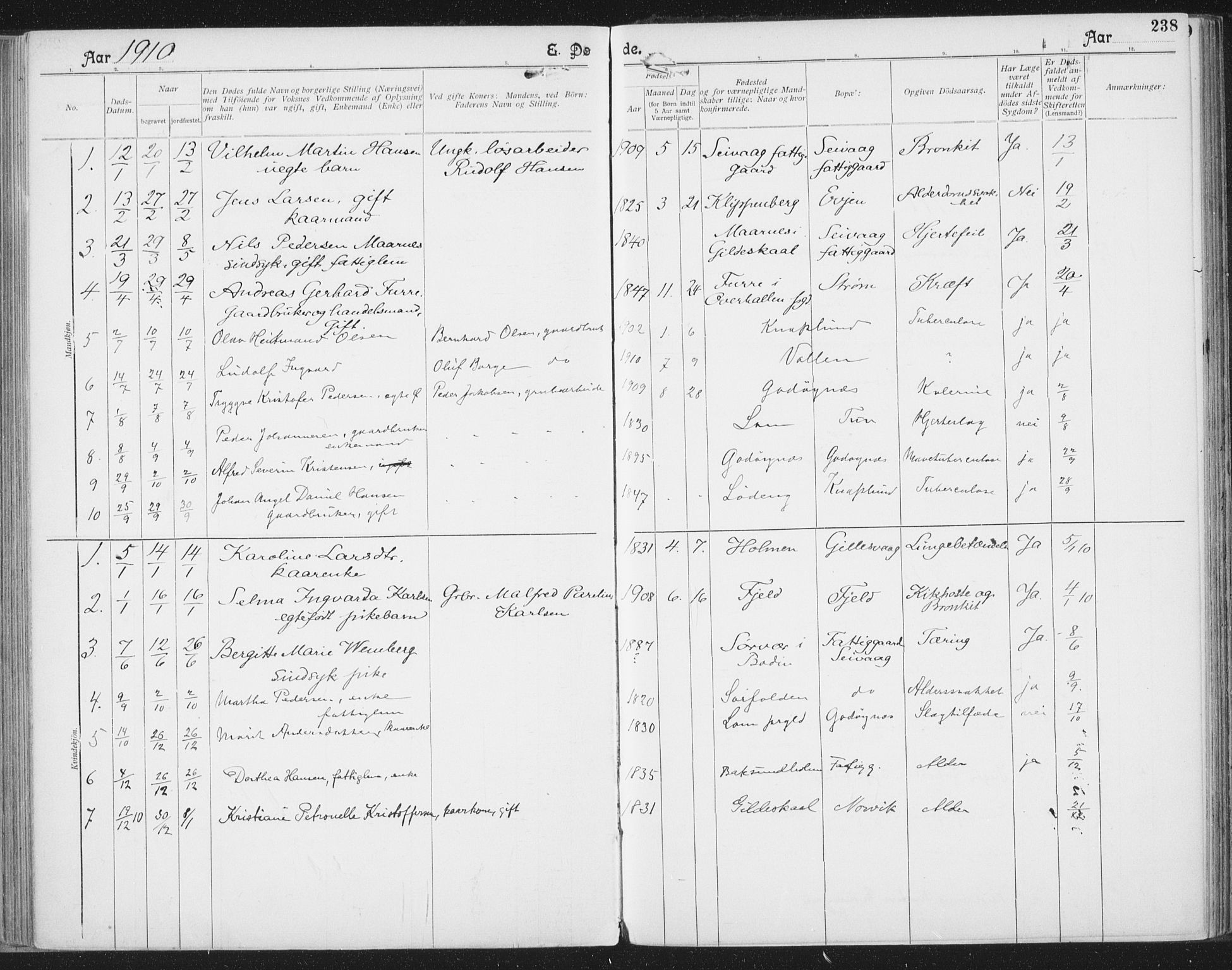 Ministerialprotokoller, klokkerbøker og fødselsregistre - Nordland, SAT/A-1459/804/L0081: Parish register (official) no. 804A02, 1901-1915, p. 238