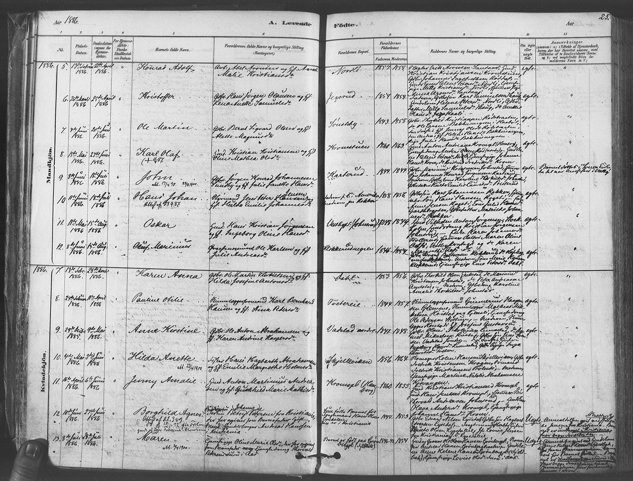 Vestby prestekontor Kirkebøker, AV/SAO-A-10893/F/Fa/L0009: Parish register (official) no. I 9, 1878-1900, p. 25