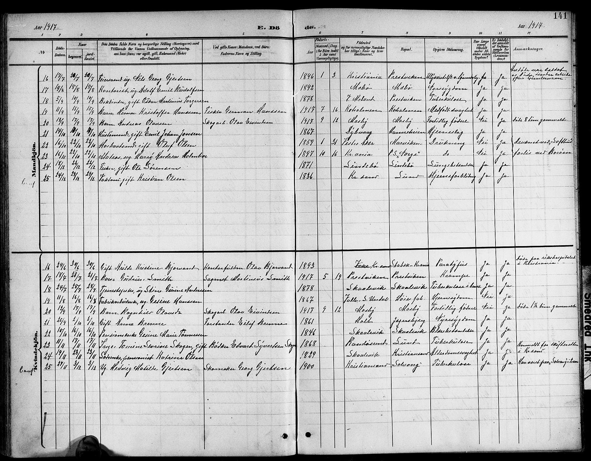 Oddernes sokneprestkontor, AV/SAK-1111-0033/F/Fb/Fba/L0009: Parish register (copy) no. B 9, 1899-1923, p. 141