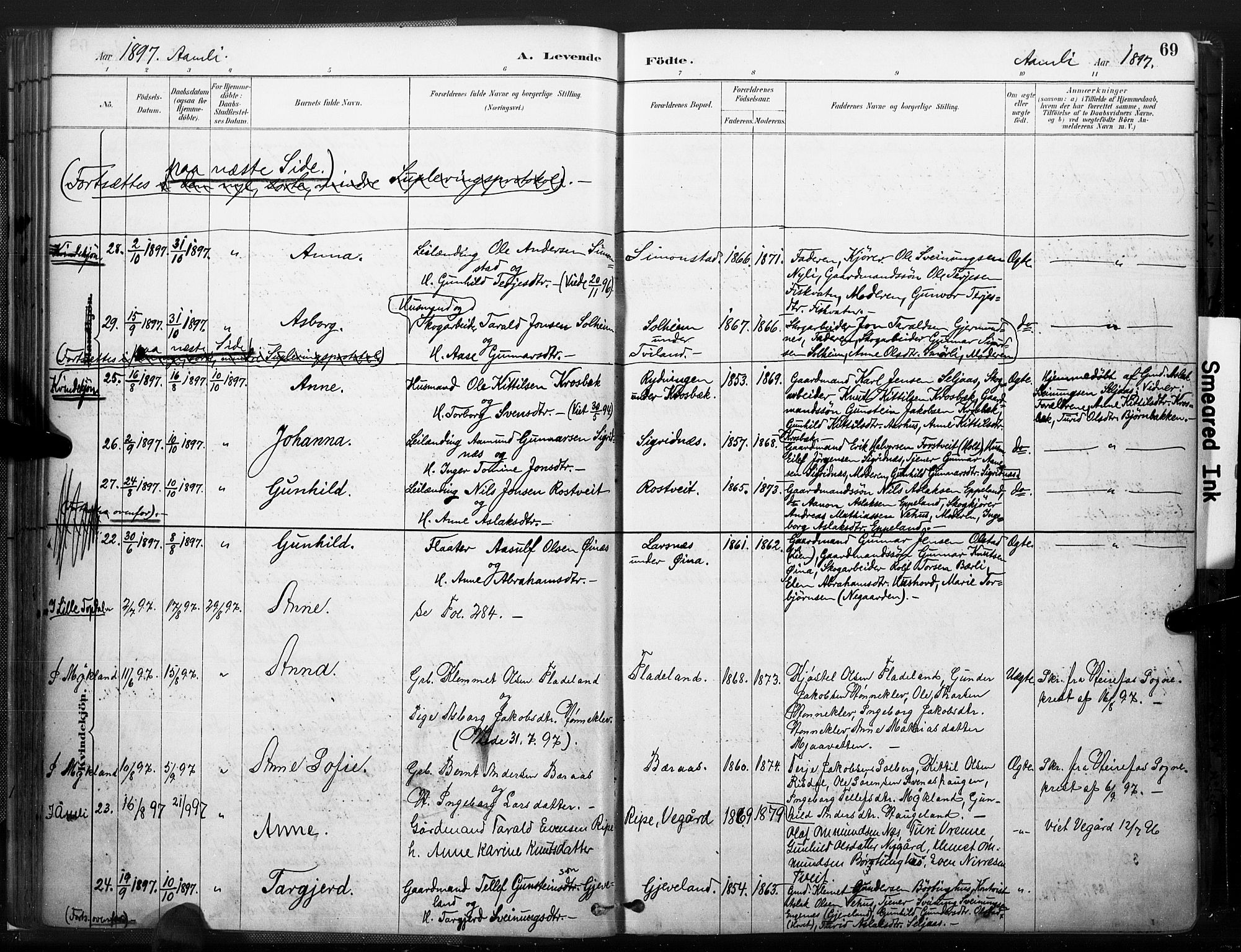 Åmli sokneprestkontor, SAK/1111-0050/F/Fa/Fac/L0010: Parish register (official) no. A 10 /1, 1885-1899, p. 69