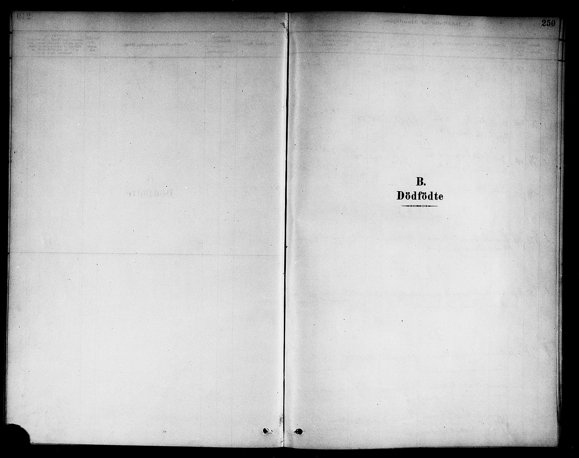 Berg prestekontor Kirkebøker, SAO/A-10902/F/Fc/L0001: Parish register (official) no. III 1, 1878-1887, p. 250