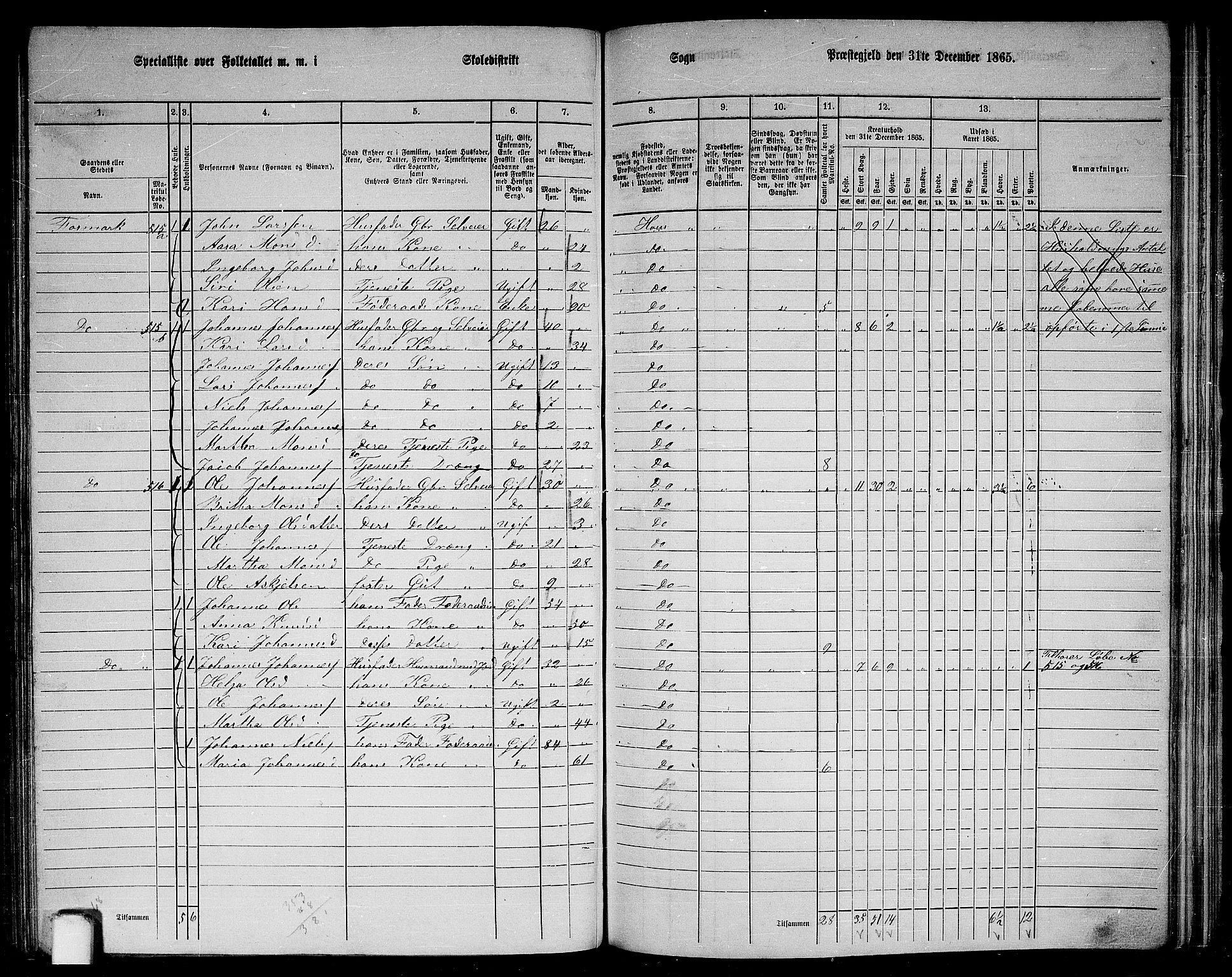 RA, 1865 census for Haus, 1865, p. 203