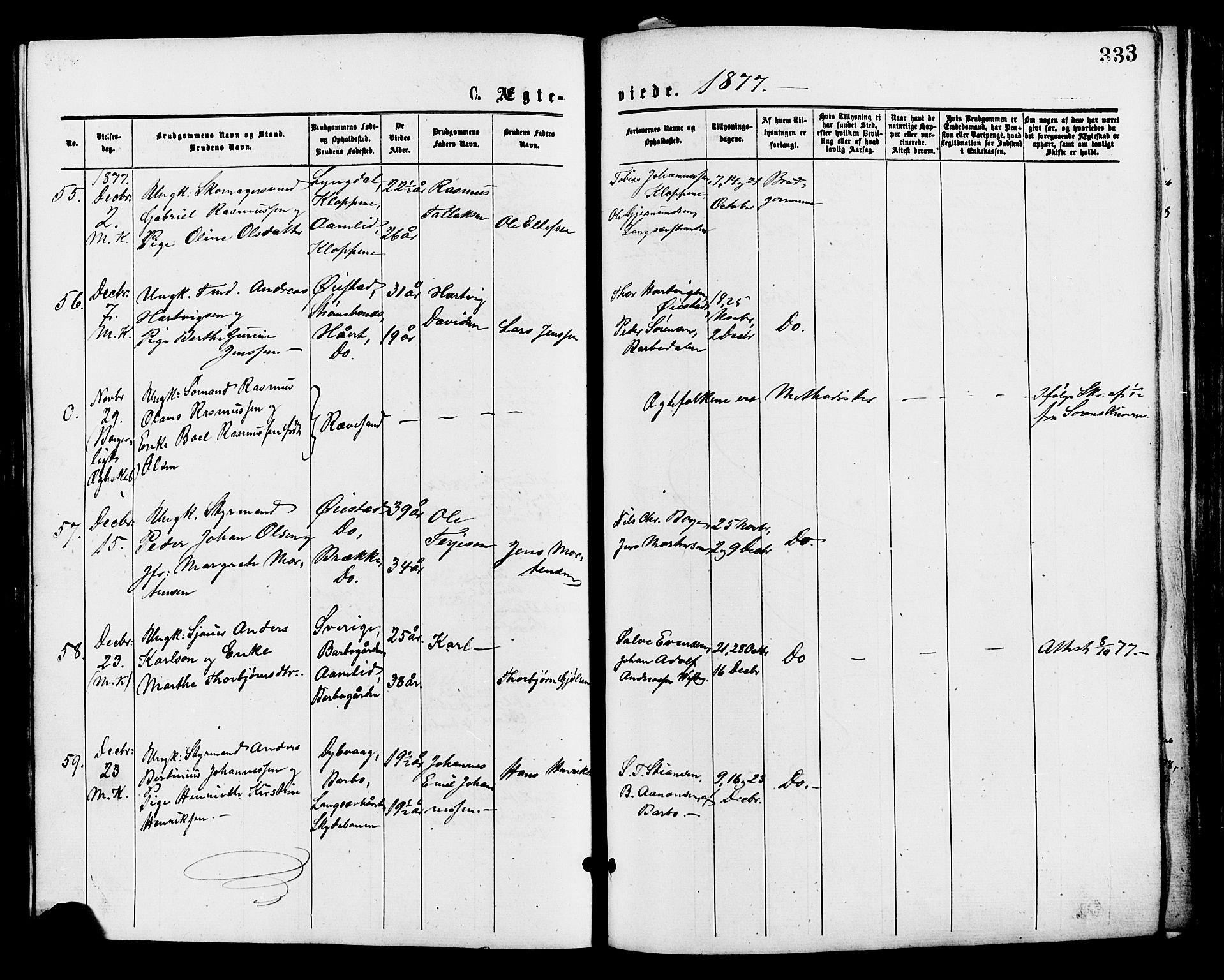 Barbu sokneprestkontor, AV/SAK-1111-0003/F/Fa/L0001: Parish register (official) no. A 1 /2, 1877-1877, p. 333