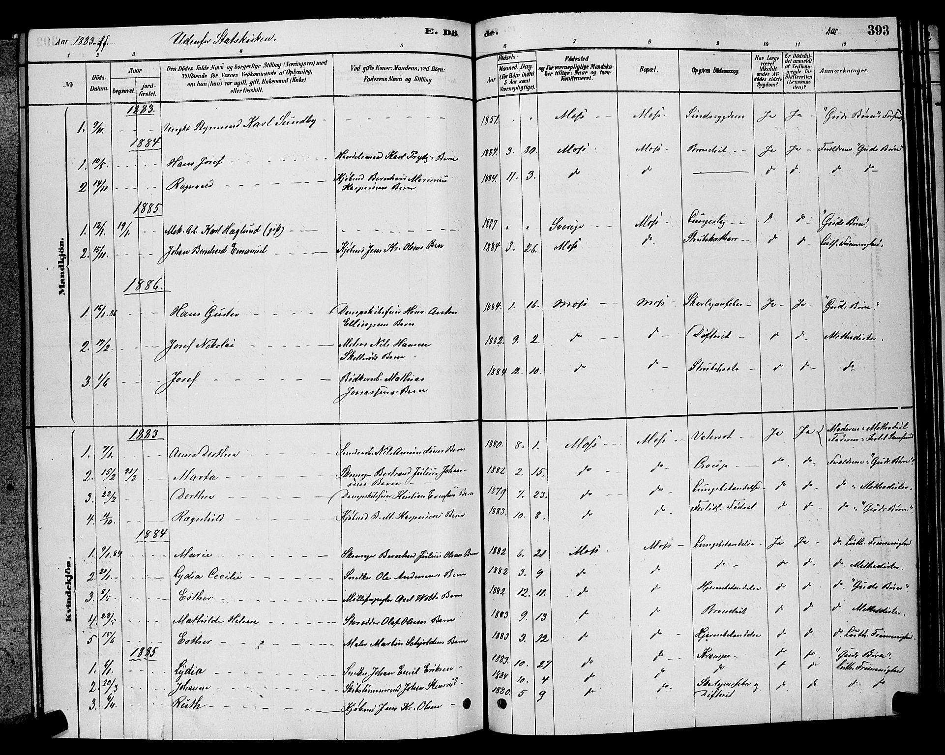 Moss prestekontor Kirkebøker, AV/SAO-A-2003/G/Ga/L0005: Parish register (copy) no. I 5, 1878-1888, p. 393