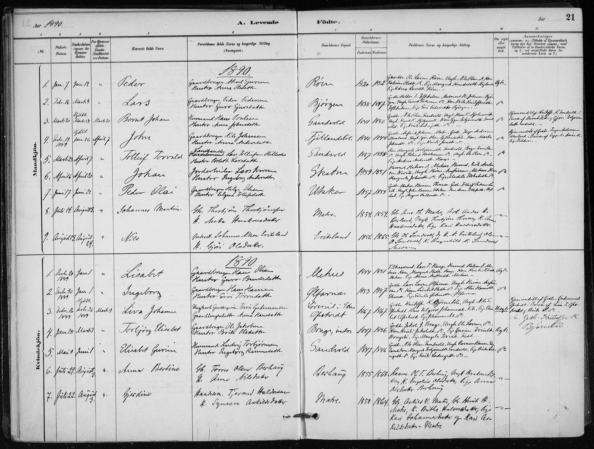 Skånevik sokneprestembete, SAB/A-77801/H/Haa: Parish register (official) no. C  1, 1879-1917, p. 21