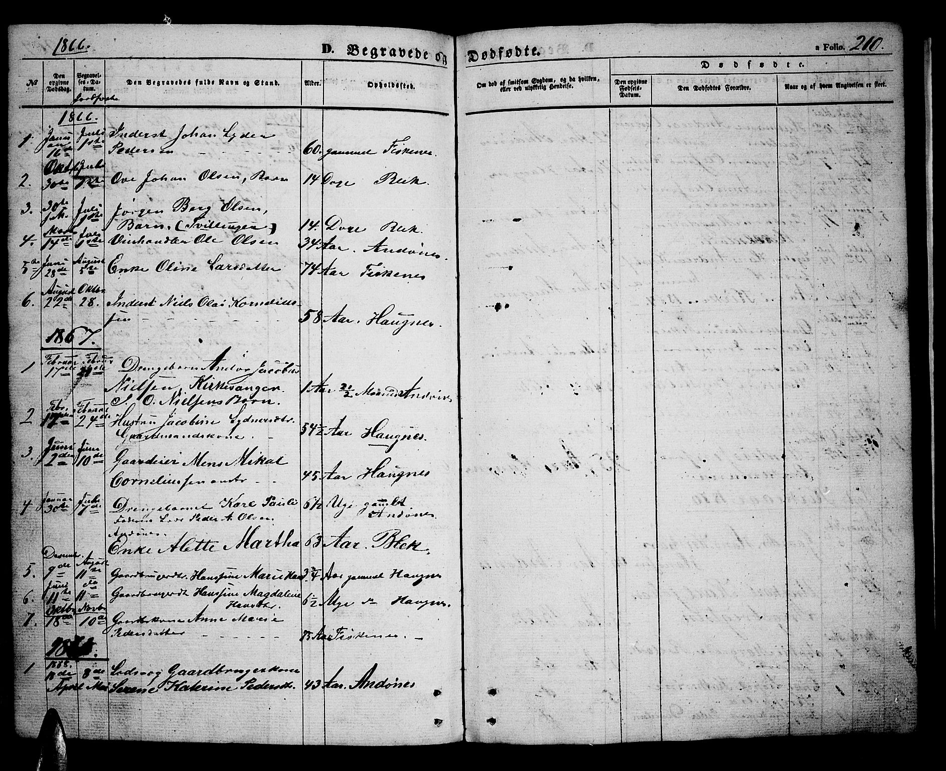 Ministerialprotokoller, klokkerbøker og fødselsregistre - Nordland, AV/SAT-A-1459/899/L1447: Parish register (copy) no. 899C02, 1855-1886, p. 210