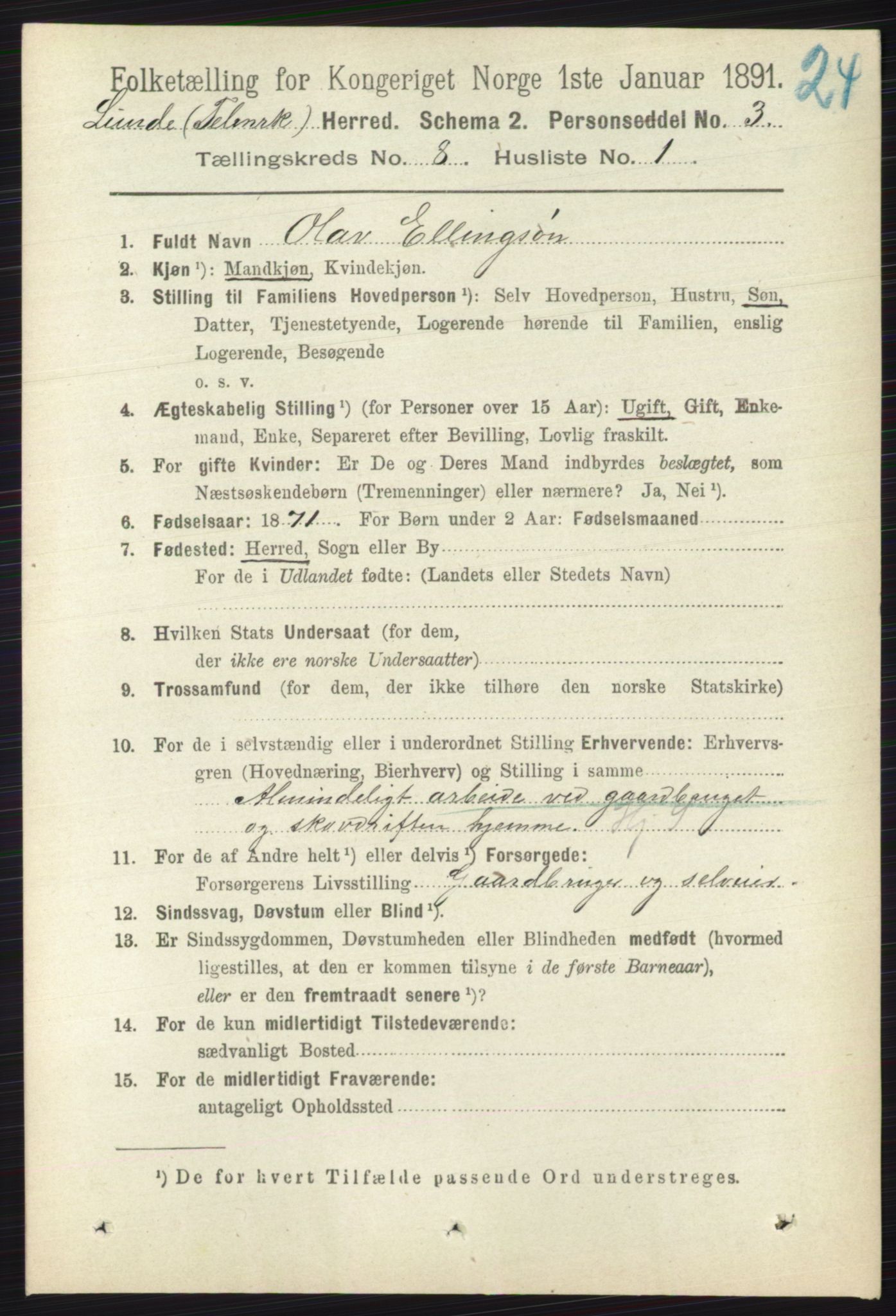 RA, 1891 census for 0820 Lunde, 1891, p. 2376