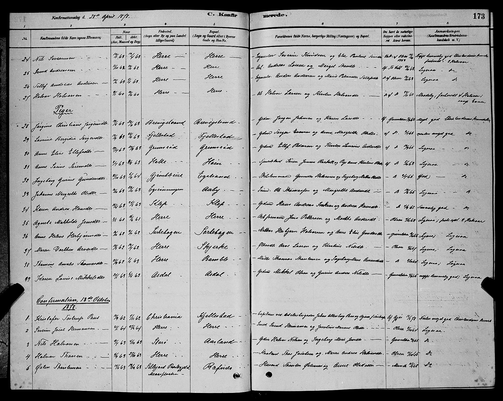 Bamble kirkebøker, AV/SAKO-A-253/G/Ga/L0008: Parish register (copy) no. I 8, 1878-1888, p. 173