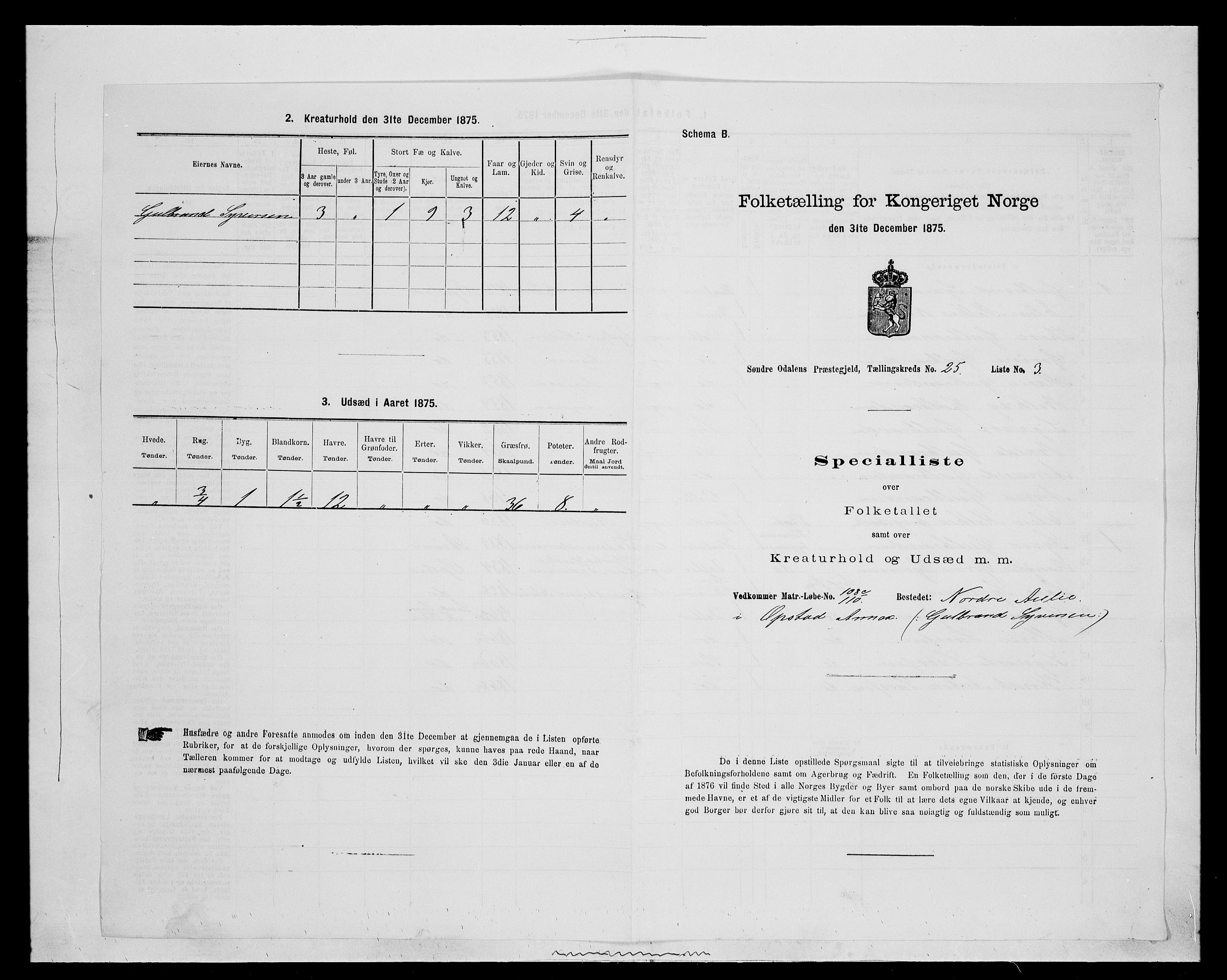 SAH, 1875 census for 0419P Sør-Odal, 1875, p. 2101