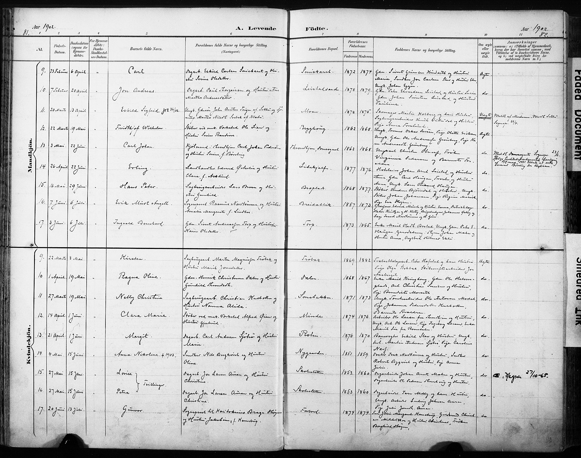 Ministerialprotokoller, klokkerbøker og fødselsregistre - Sør-Trøndelag, SAT/A-1456/616/L0411: Parish register (official) no. 616A08, 1894-1906, p. 81-82