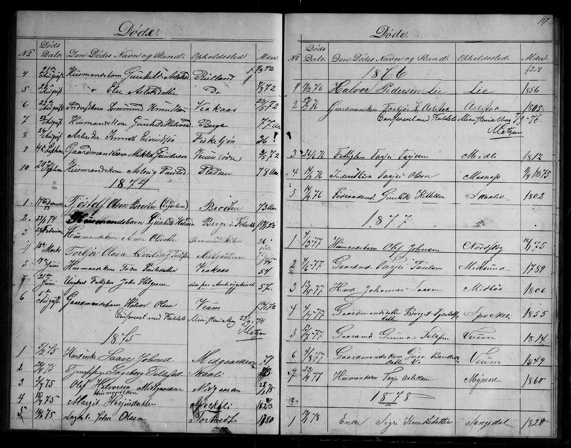 Fyresdal kirkebøker, SAKO/A-263/G/Gb/L0001: Parish register (copy) no. II 1, 1864-1890, p. 117