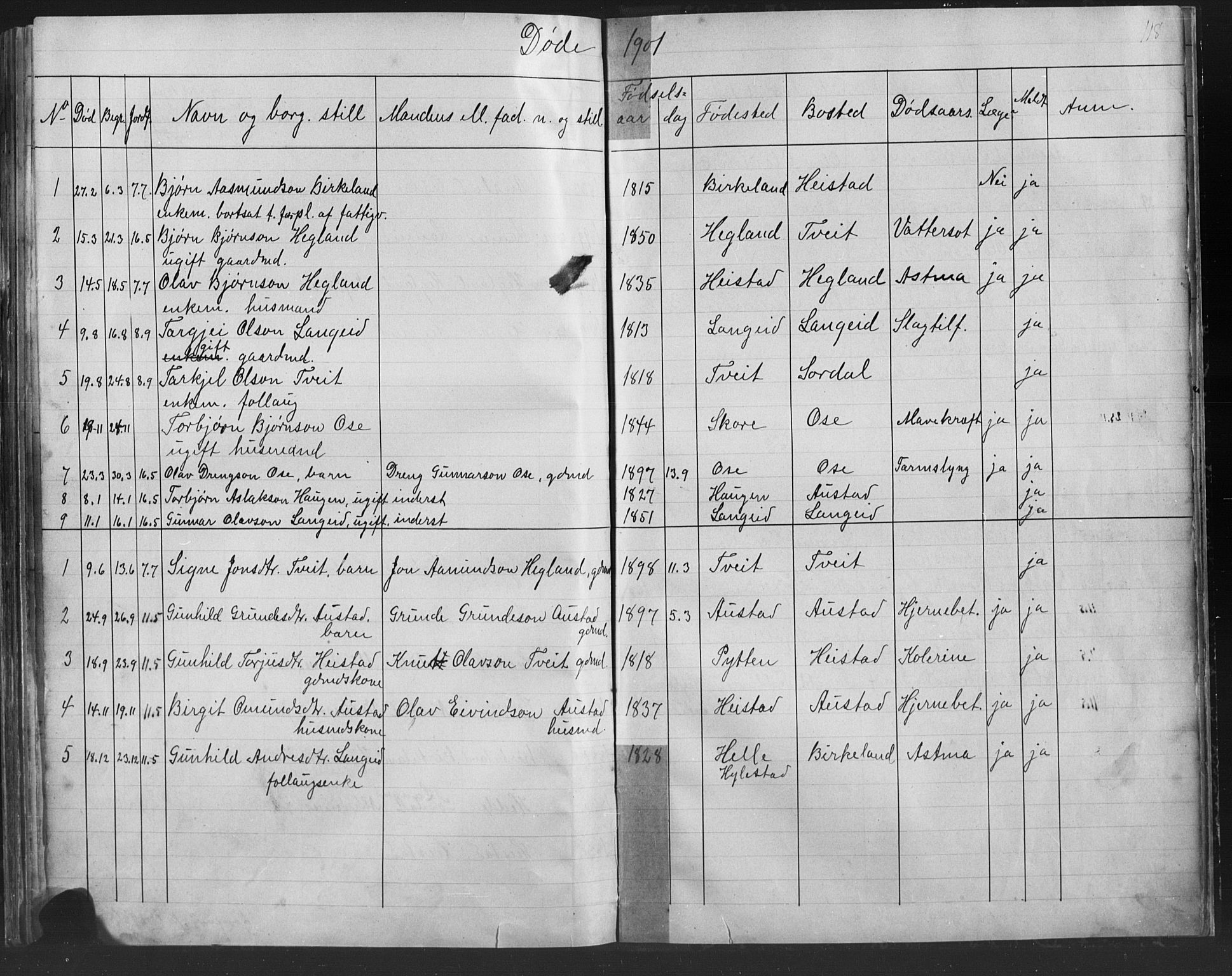 Bygland sokneprestkontor, AV/SAK-1111-0006/F/Fb/Fba/L0002: Parish register (copy) no. B 2, 1886-1919, p. 118