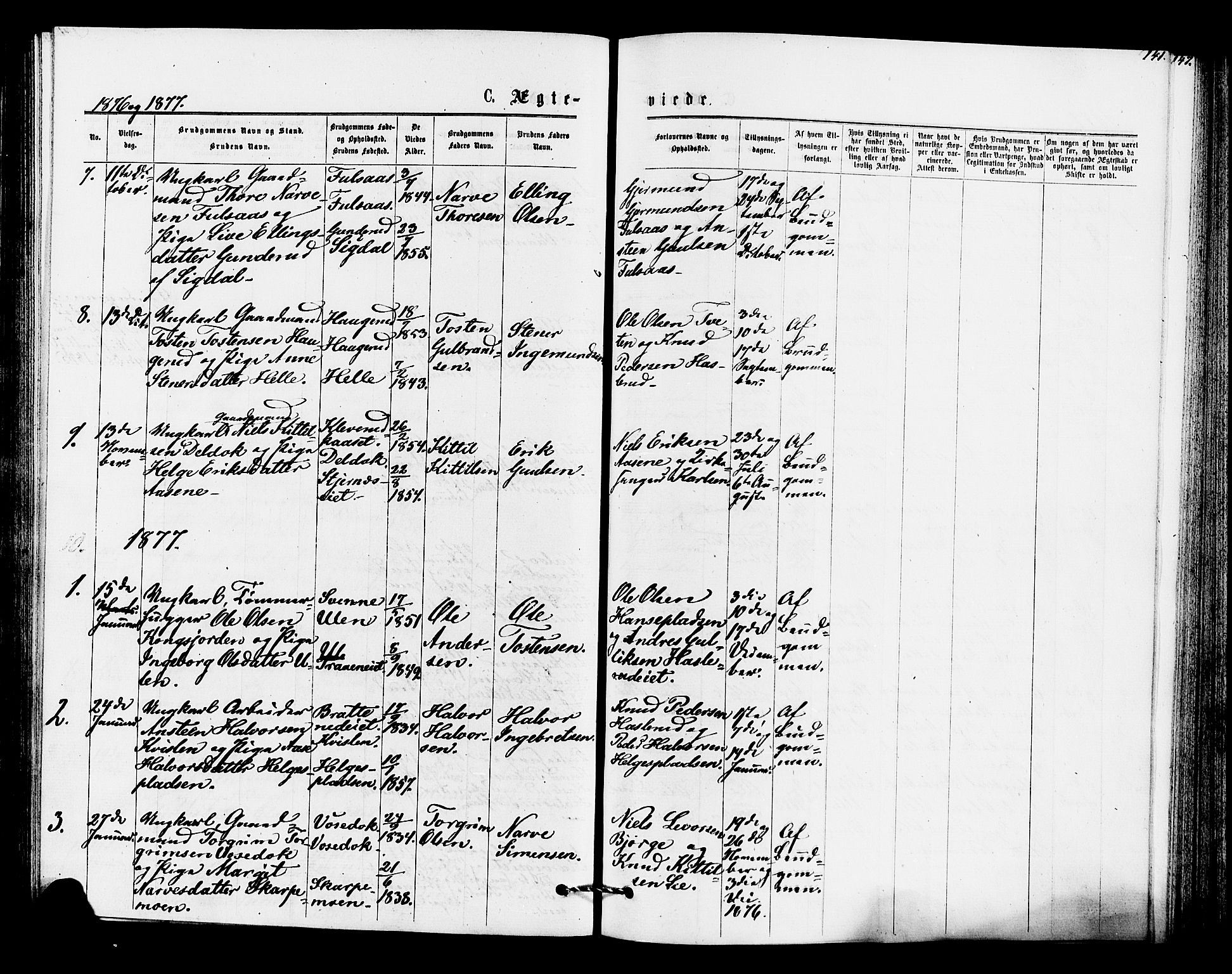 Rollag kirkebøker, SAKO/A-240/F/Fa/L0010: Parish register (official) no. I 10, 1874-1877, p. 141