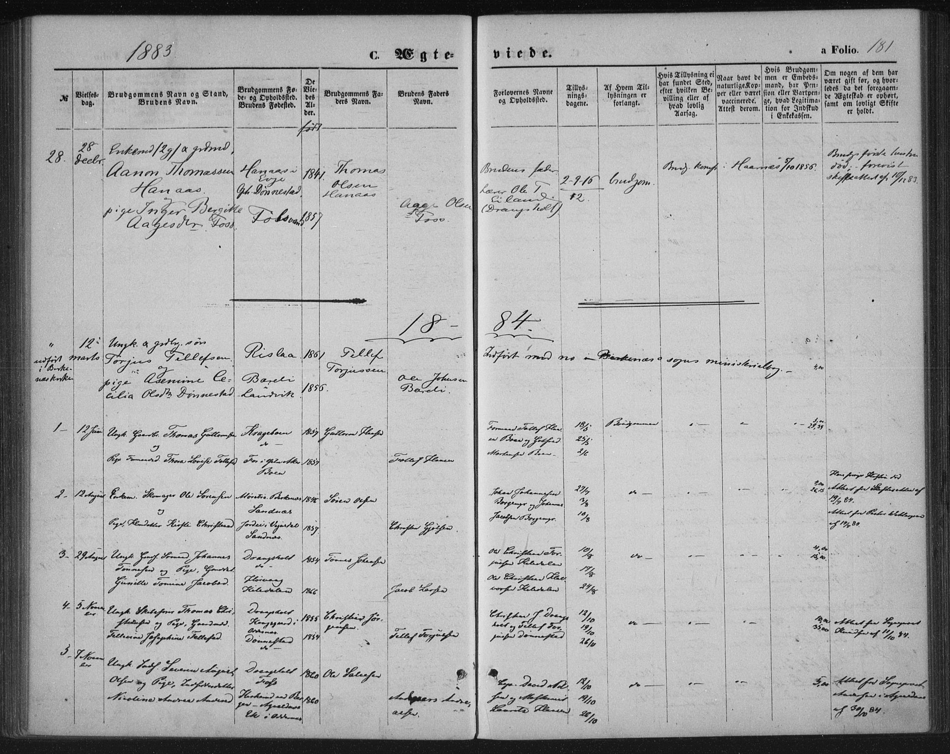 Tveit sokneprestkontor, SAK/1111-0043/F/Fa/L0006: Parish register (official) no. A 6, 1872-1886, p. 181