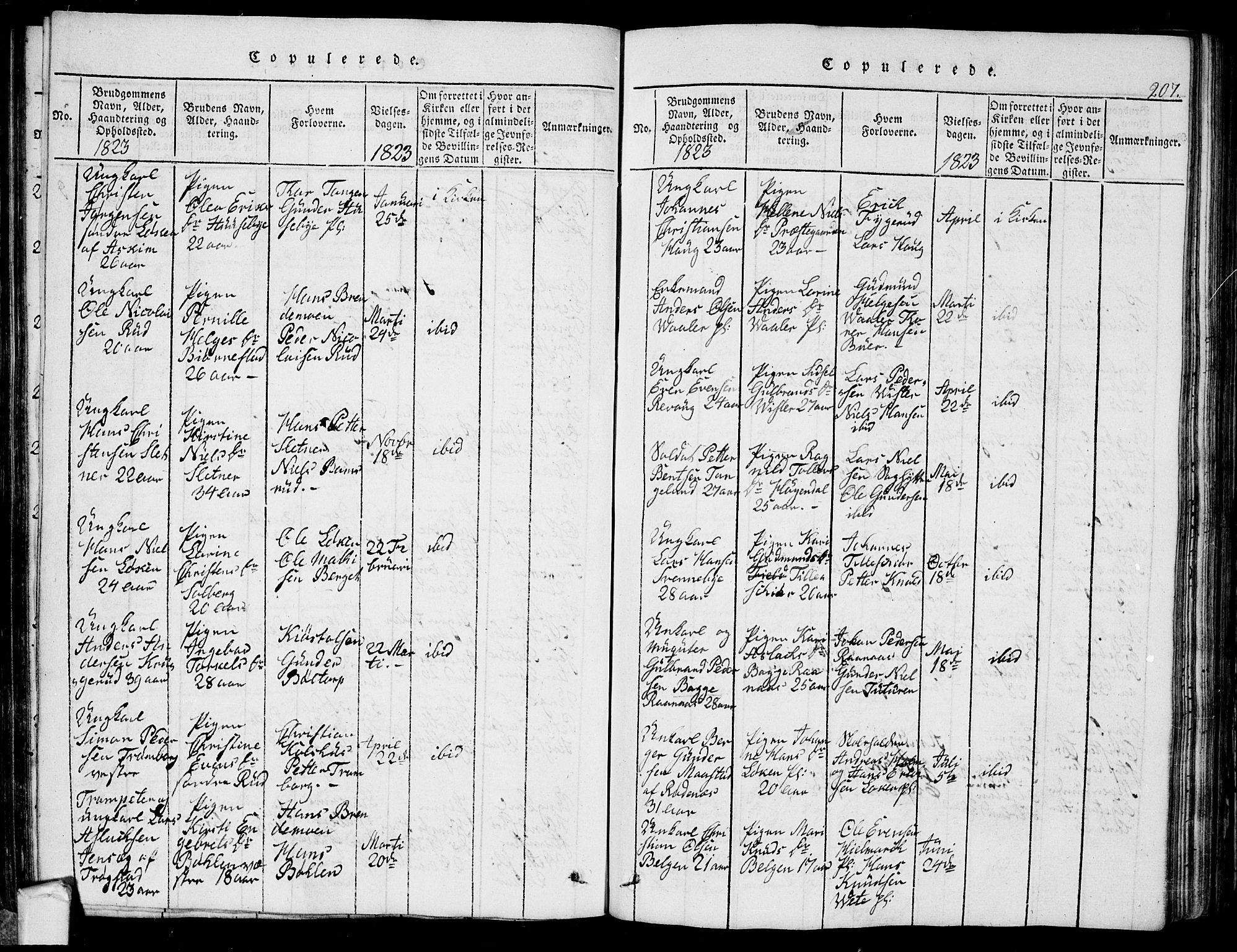 Eidsberg prestekontor Kirkebøker, SAO/A-10905/G/Ga/L0001: Parish register (copy) no. I 1, 1814-1831, p. 207