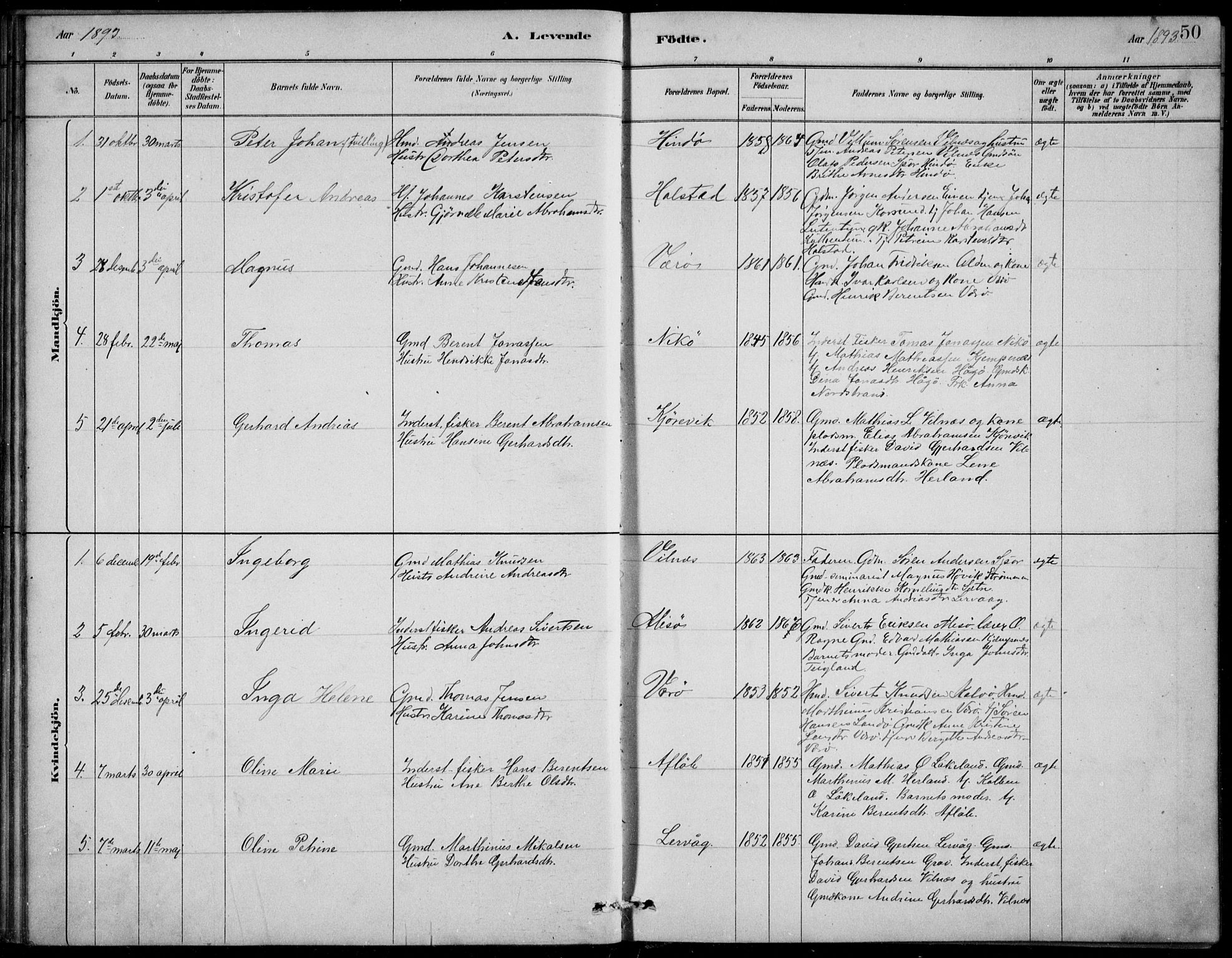 Askvoll sokneprestembete, SAB/A-79501/H/Hab/Habb/L0001: Parish register (copy) no. B 1, 1879-1909, p. 50