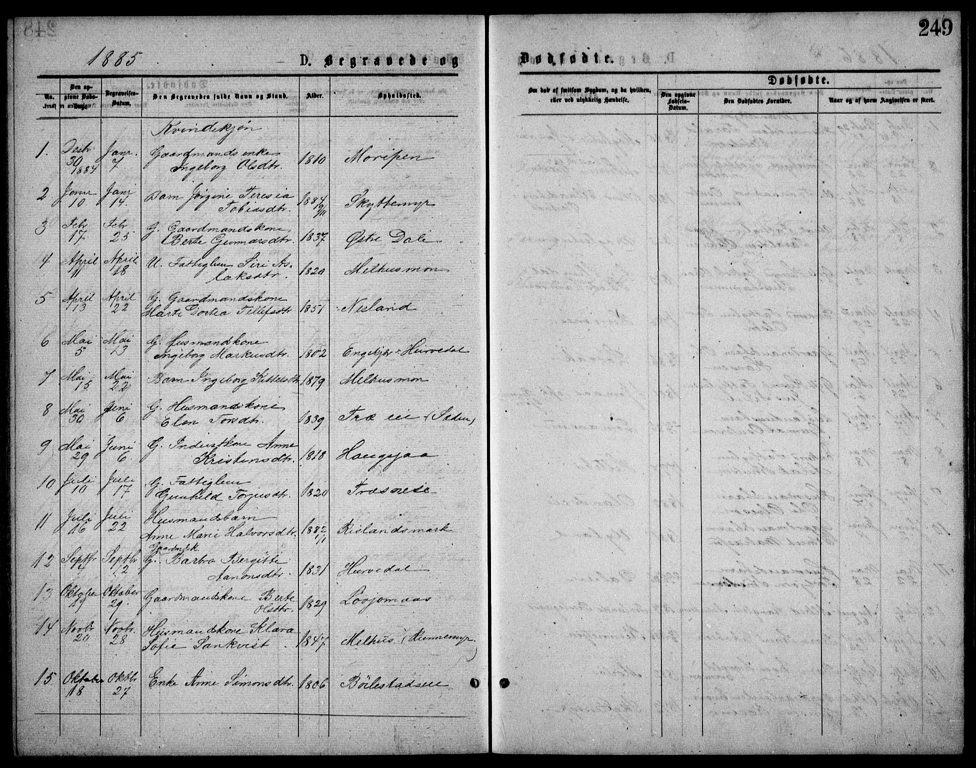 Froland sokneprestkontor, SAK/1111-0013/F/Fb/L0009: Parish register (copy) no. B 9, 1875-1893, p. 249