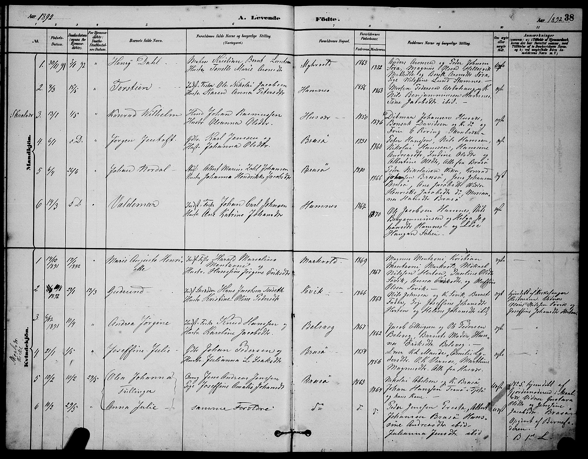 Ministerialprotokoller, klokkerbøker og fødselsregistre - Nordland, SAT/A-1459/830/L0462: Parish register (copy) no. 830C04, 1882-1895, p. 38