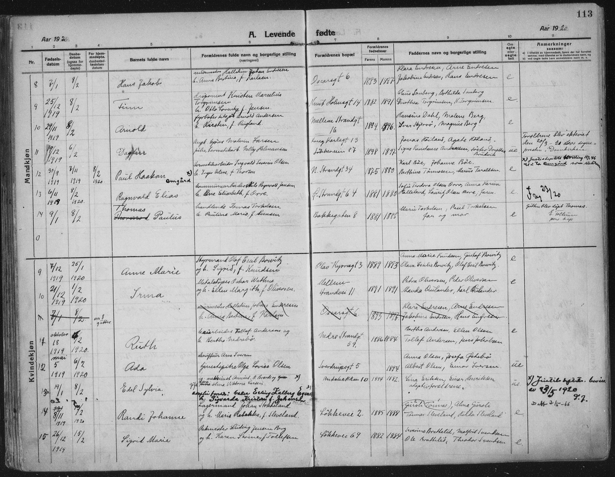 Domkirken sokneprestkontor, AV/SAST-A-101812/002/A/L0018: Parish register (official) no. A 34, 1915-1929, p. 113