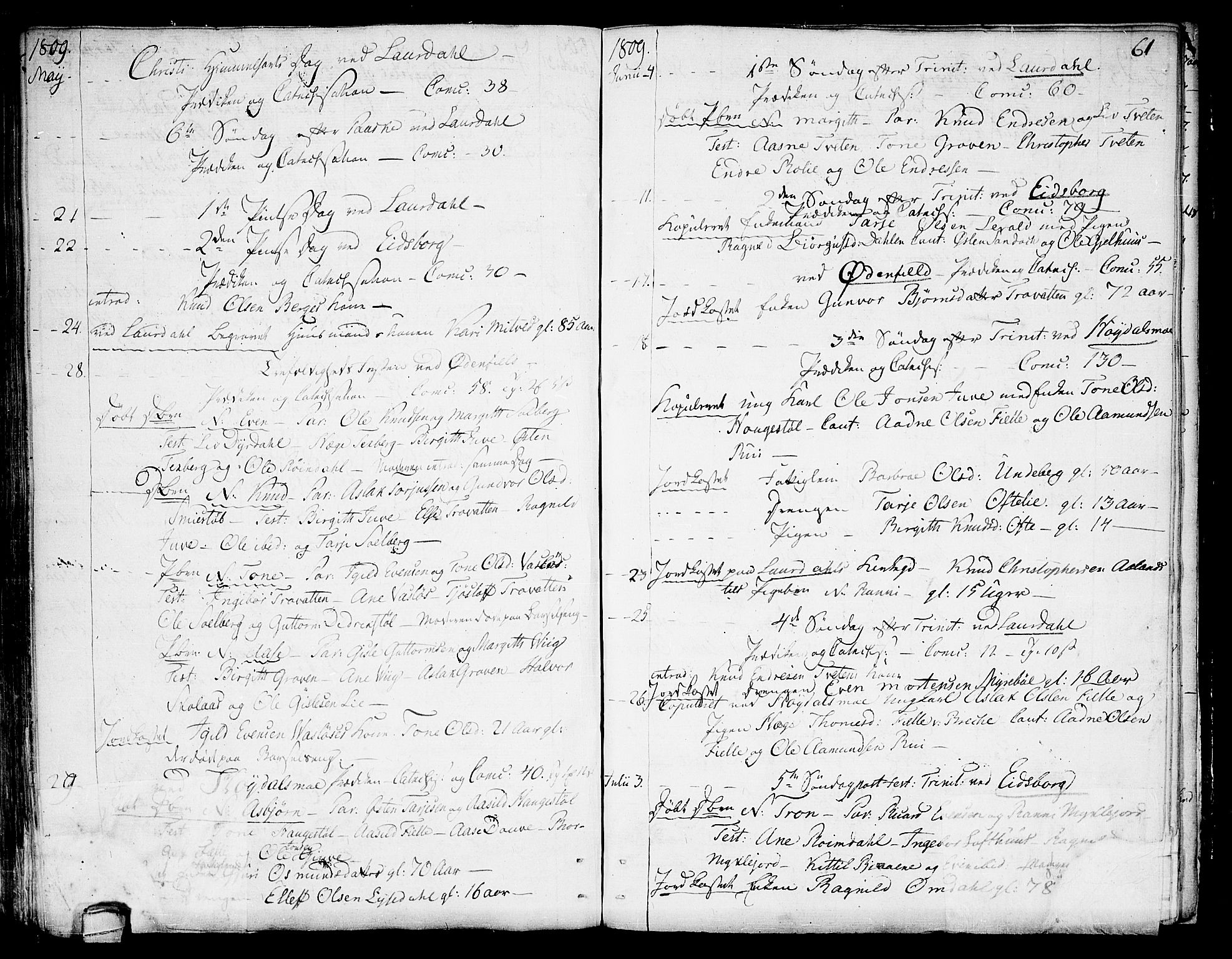 Lårdal kirkebøker, SAKO/A-284/F/Fa/L0004: Parish register (official) no. I 4, 1790-1814, p. 61