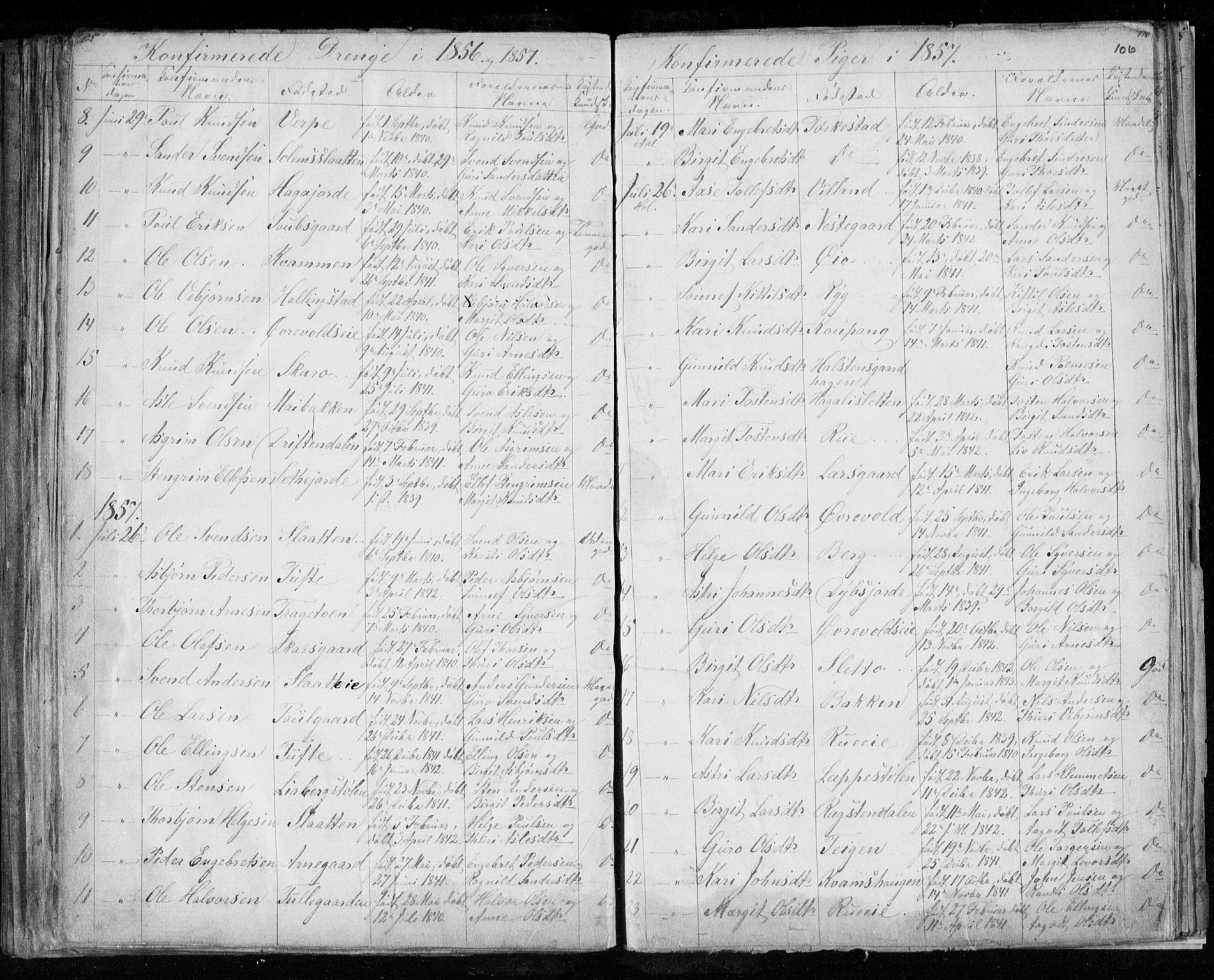 Hol kirkebøker, AV/SAKO-A-227/F/Fa/L0001: Parish register (official) no. I 1, 1850-1870, p. 105-106