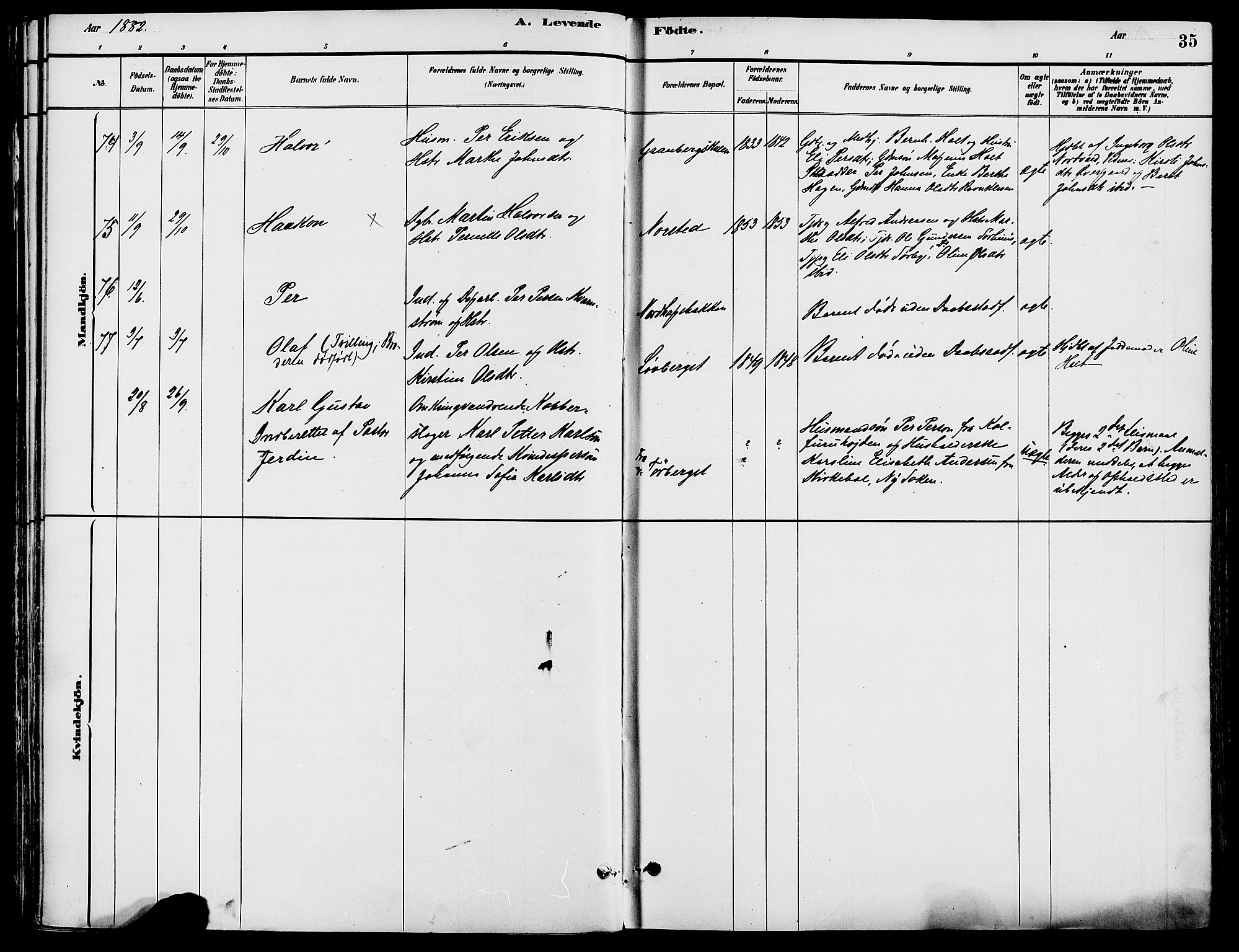 Trysil prestekontor, SAH/PREST-046/H/Ha/Haa/L0008: Parish register (official) no. 8, 1881-1897, p. 35