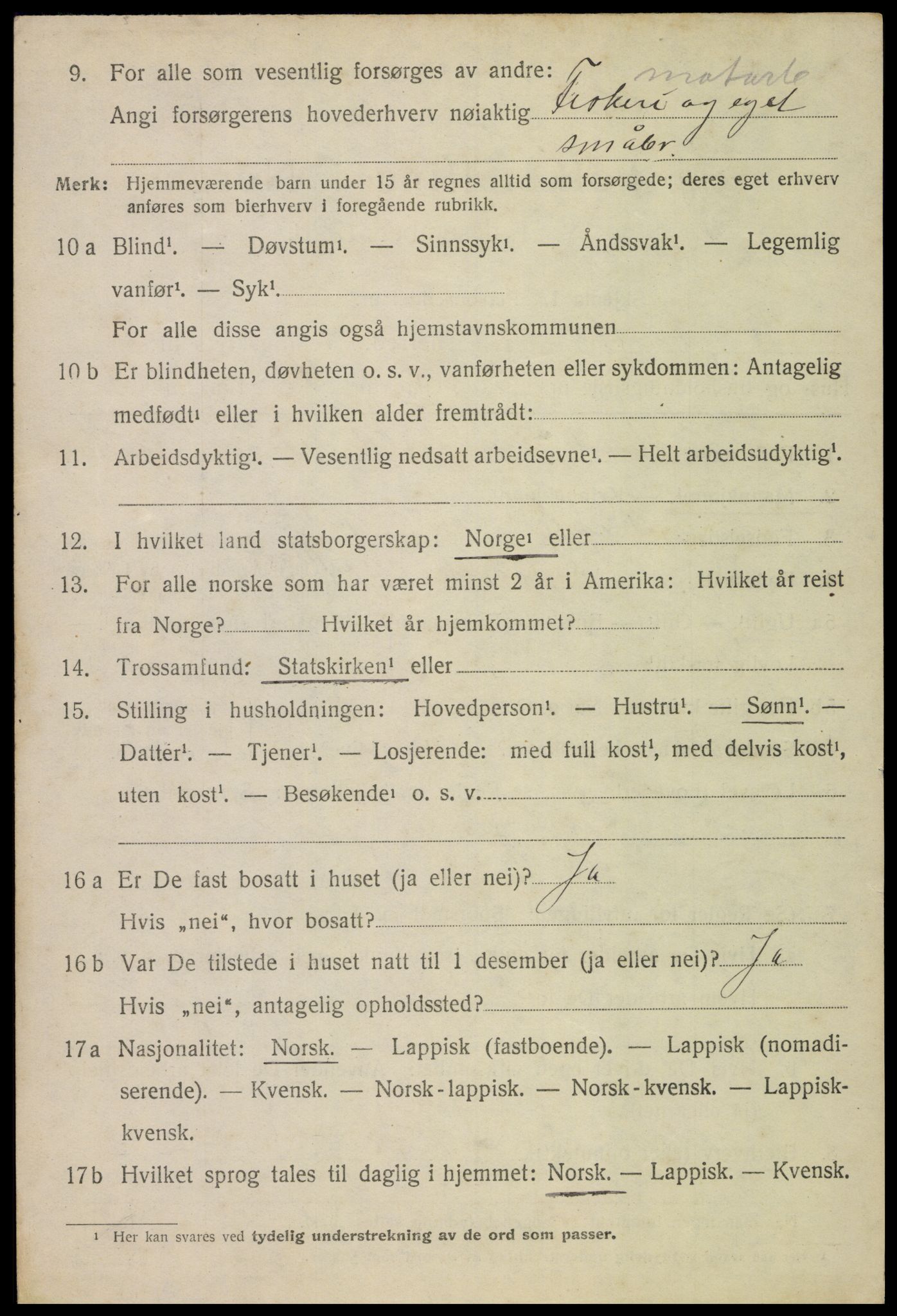 SAT, 1920 census for Bø, 1920, p. 10387