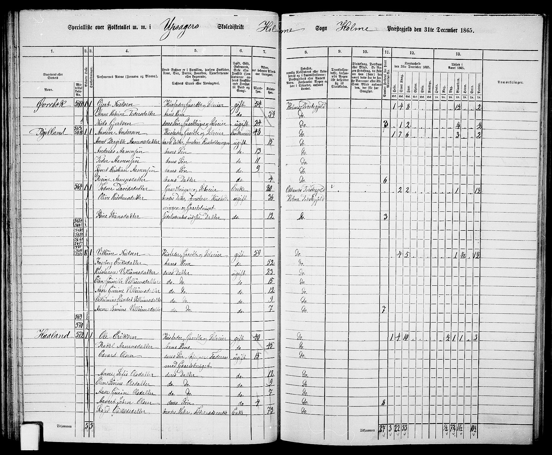 RA, 1865 census for Holum, 1865, p. 52