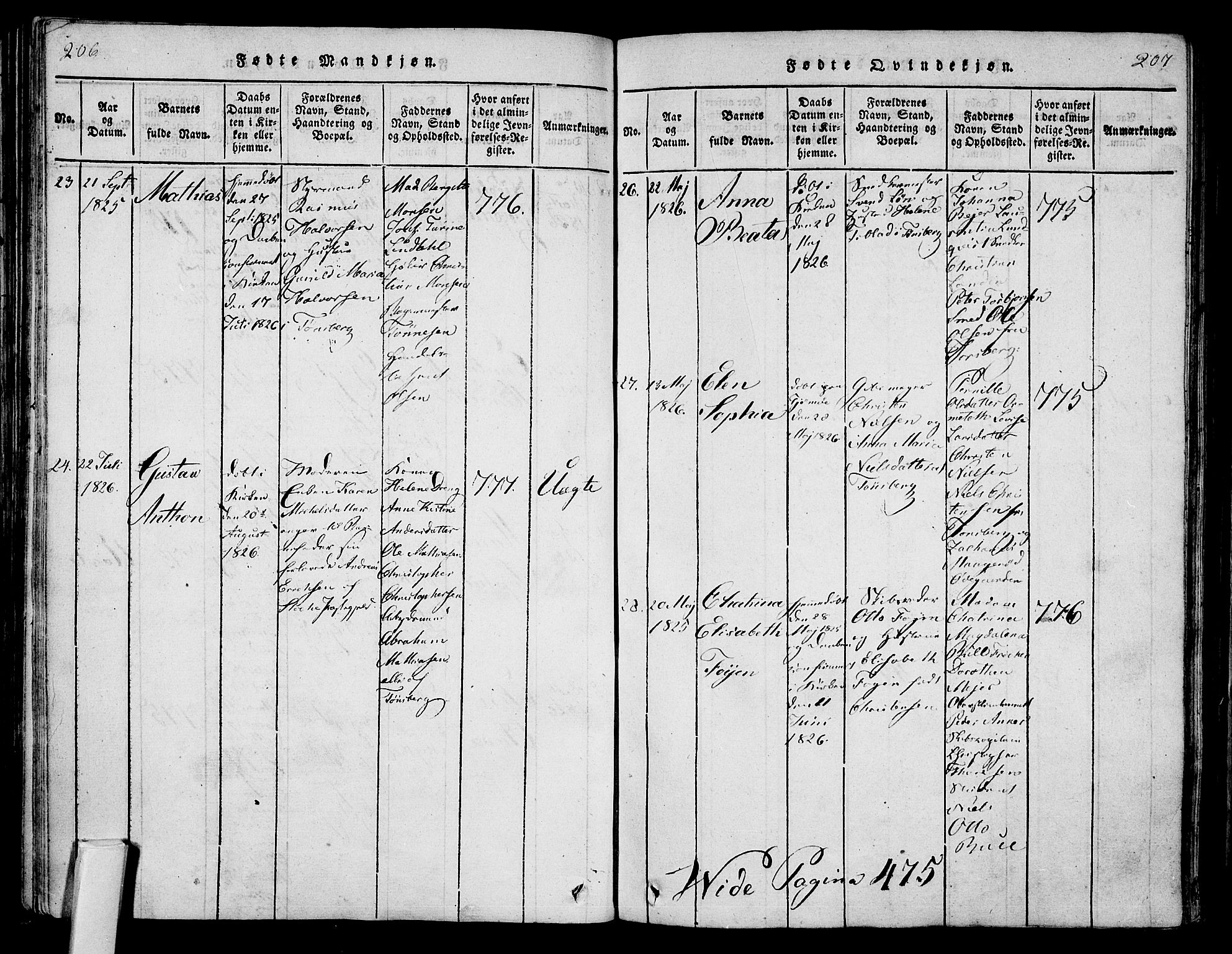 Tønsberg kirkebøker, AV/SAKO-A-330/F/Fa/L0004: Parish register (official) no. I 4, 1813-1826, p. 206-207