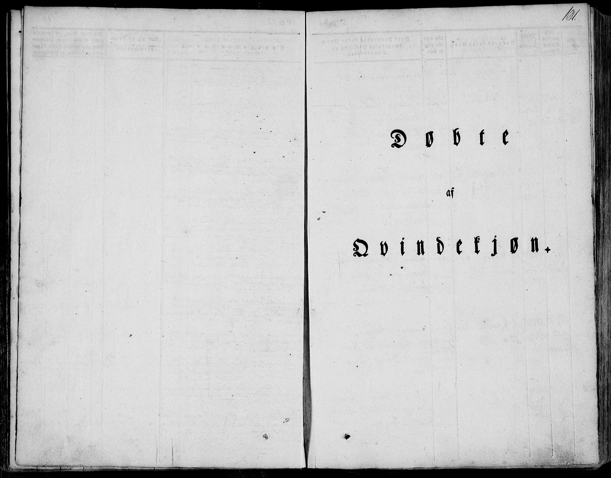 Skjold sokneprestkontor, SAST/A-101847/H/Ha/Haa/L0006: Parish register (official) no. A 6.1, 1835-1858, p. 101