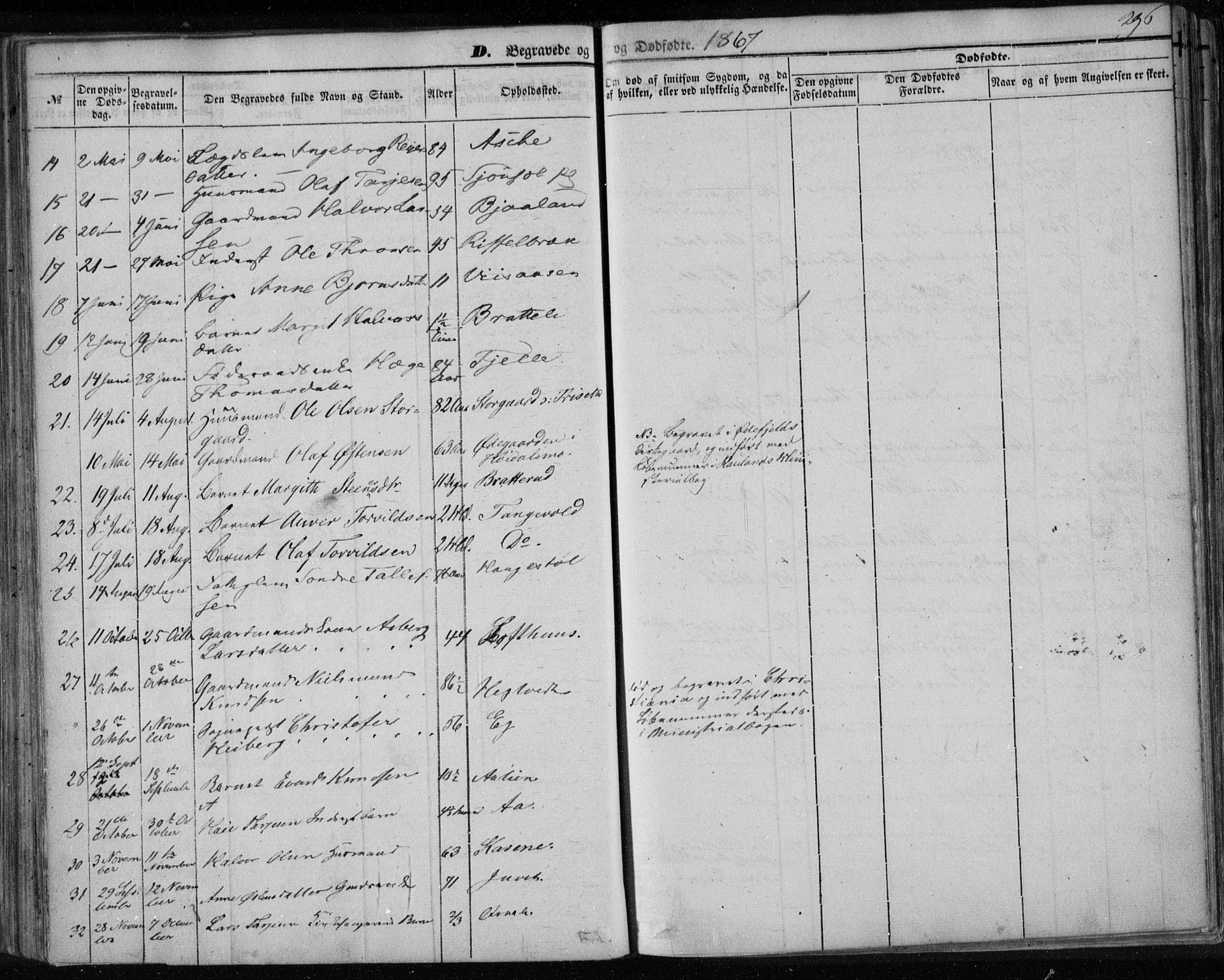Lårdal kirkebøker, SAKO/A-284/F/Fa/L0006: Parish register (official) no. I 6, 1861-1886, p. 296
