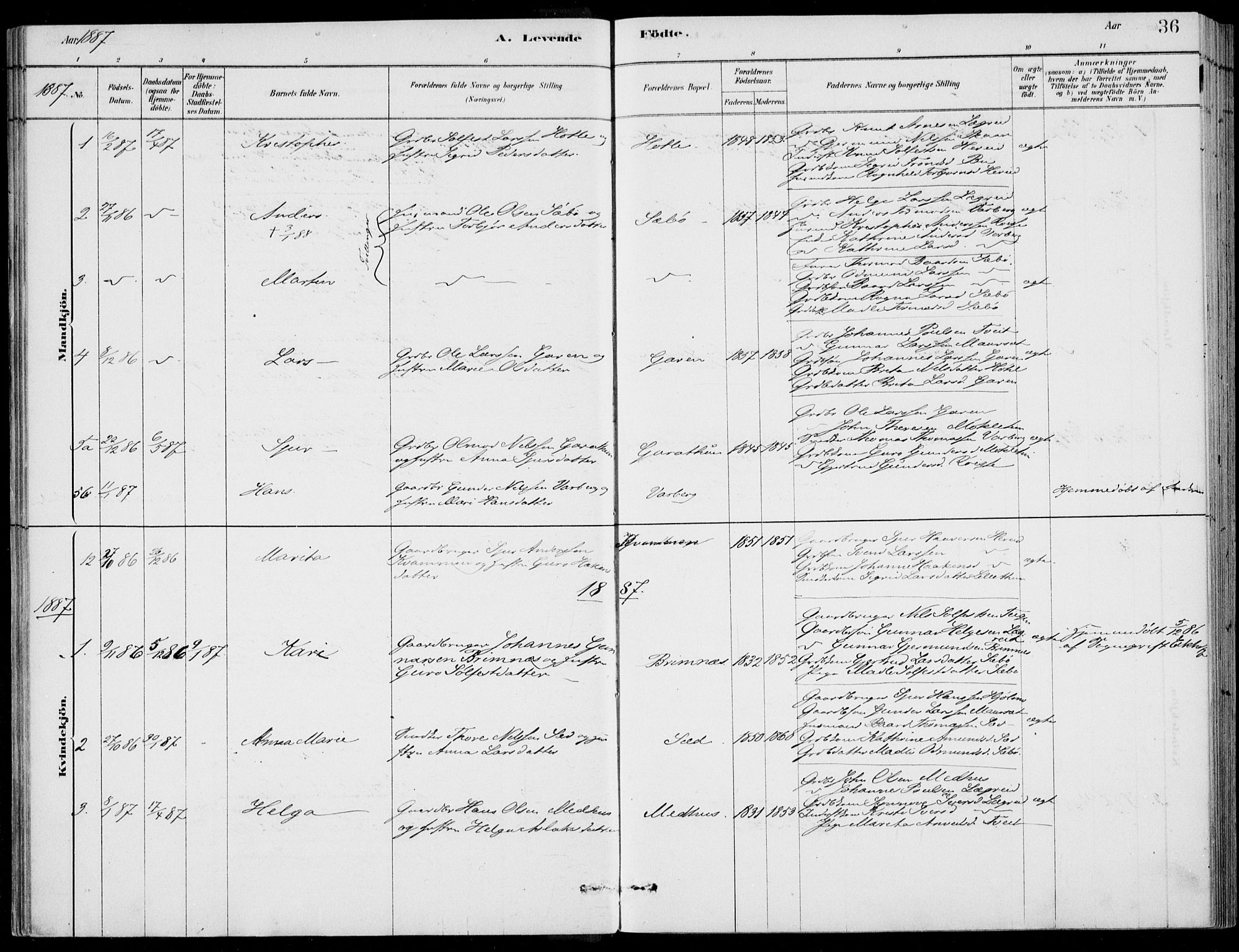 Ulvik sokneprestembete, SAB/A-78801/H/Haa: Parish register (official) no. D  1, 1878-1903, p. 36