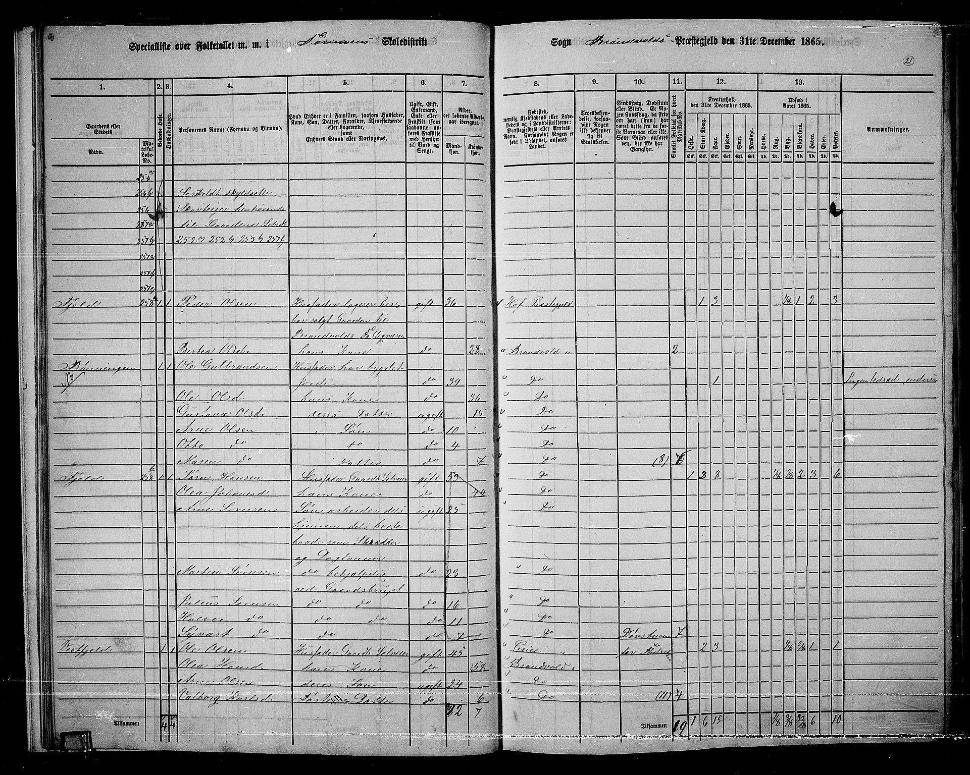 RA, 1865 census for Brandval, 1865, p. 20