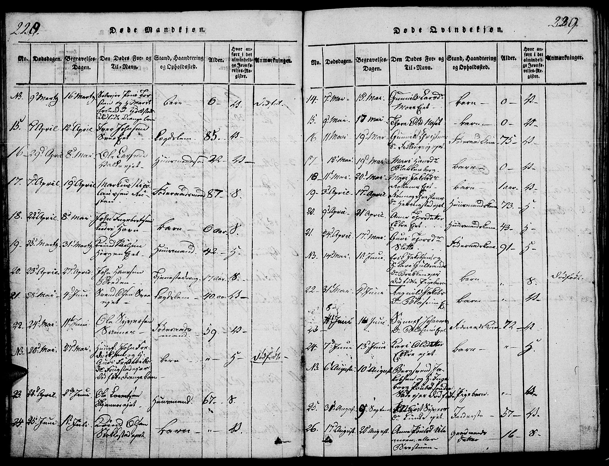 Vågå prestekontor, SAH/PREST-076/H/Ha/Haa/L0003: Parish register (official) no. 3, 1815-1827, p. 228-229