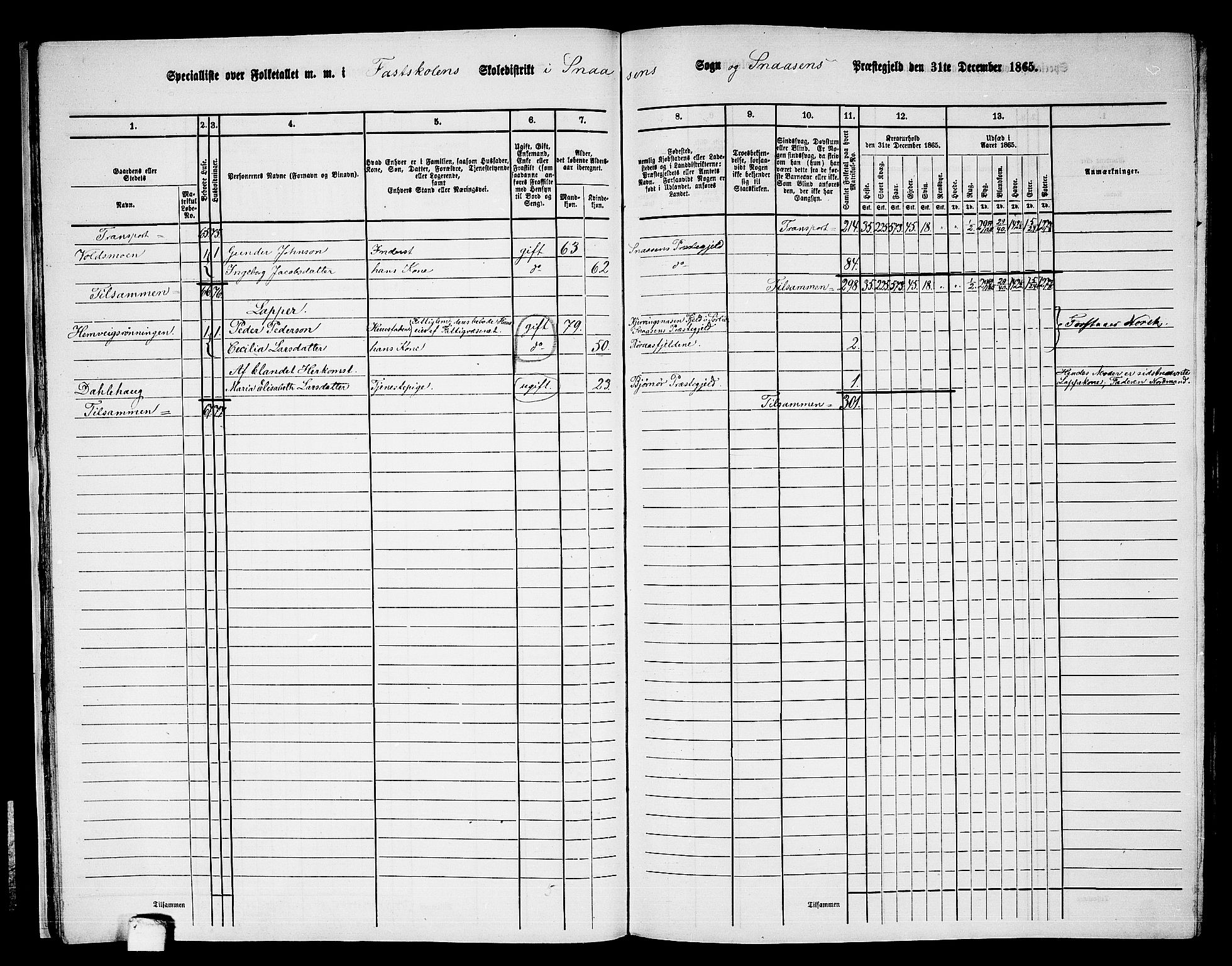 RA, 1865 census for Snåsa, 1865, p. 30