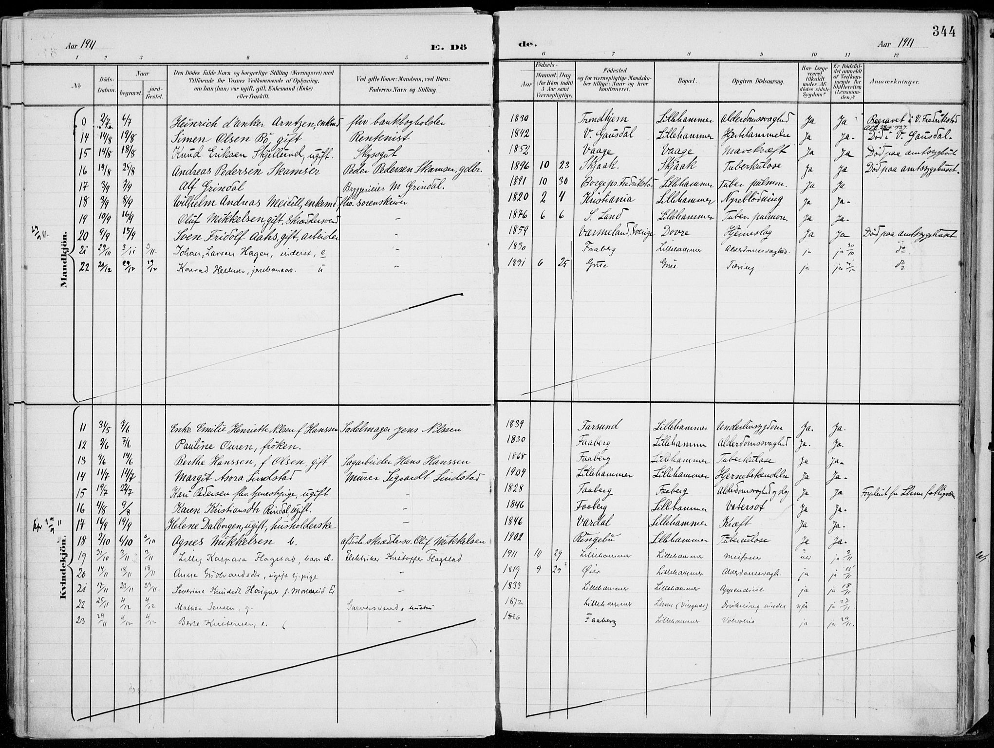 Lillehammer prestekontor, AV/SAH-PREST-088/H/Ha/Haa/L0001: Parish register (official) no. 1, 1901-1916, p. 344